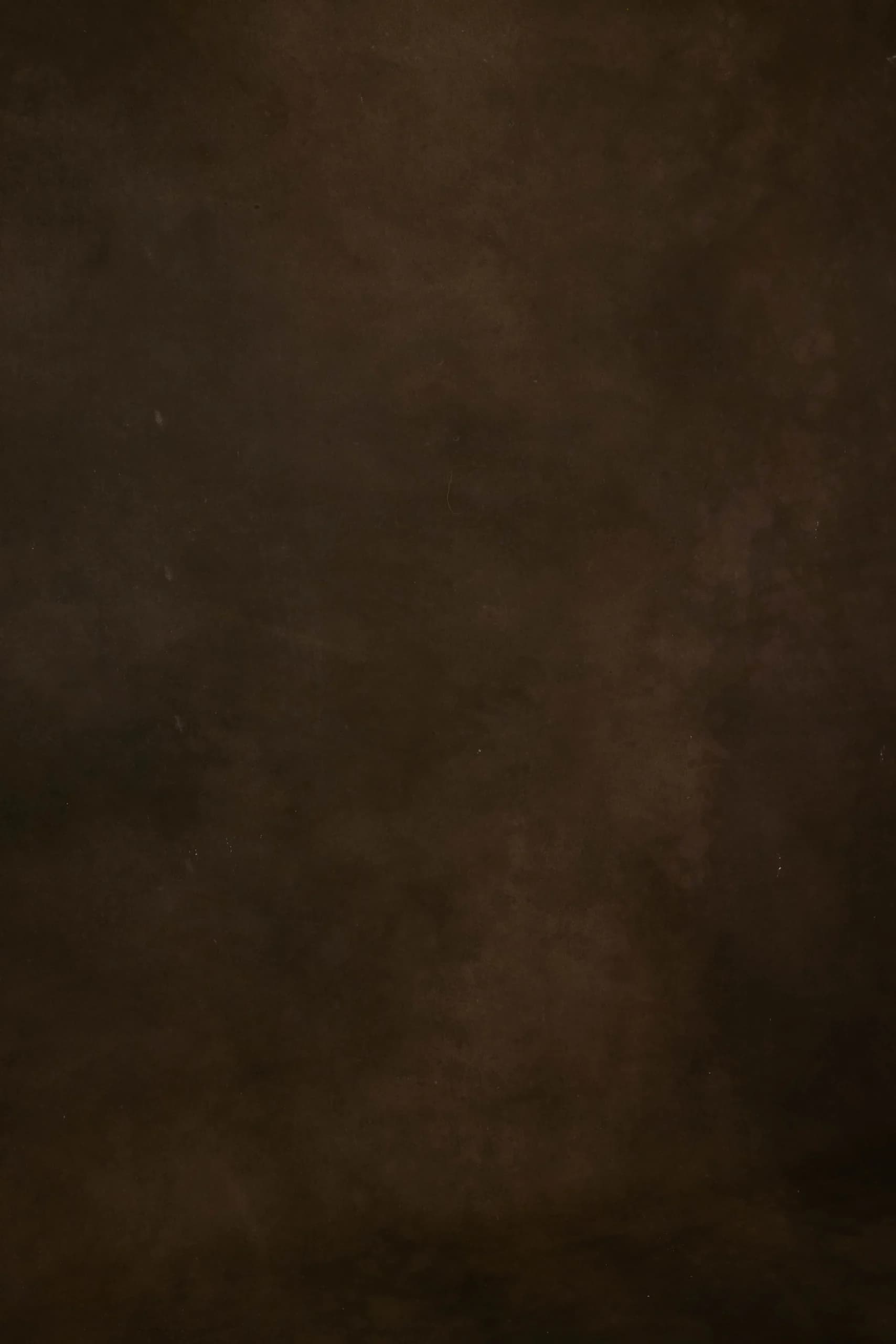 CB026R - Forest Browns hand-painted canvas backdrop, view 2