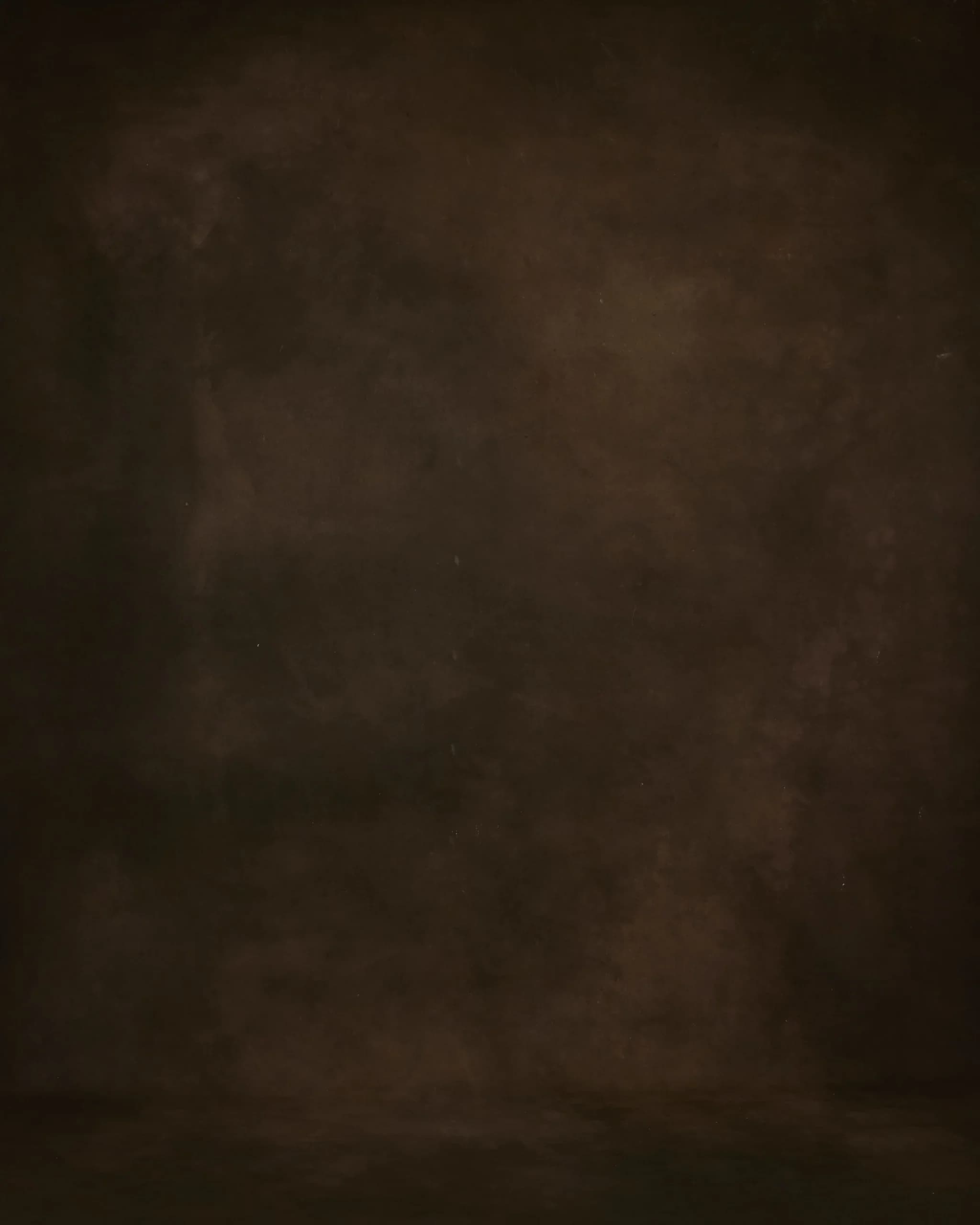 CB026R - Forest Browns hand-painted canvas backdrop, view 3