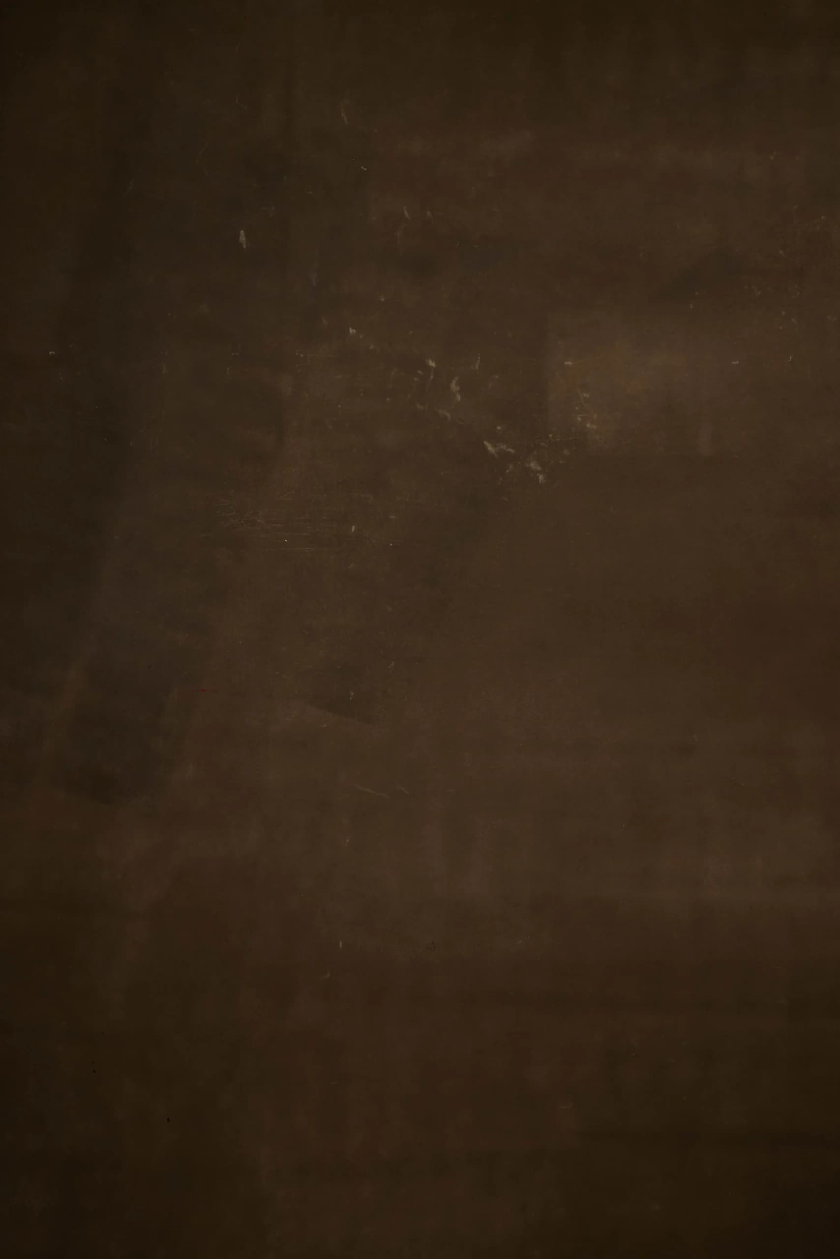 CB031R - Deep Umber hand-painted canvas backdrop, view 2
