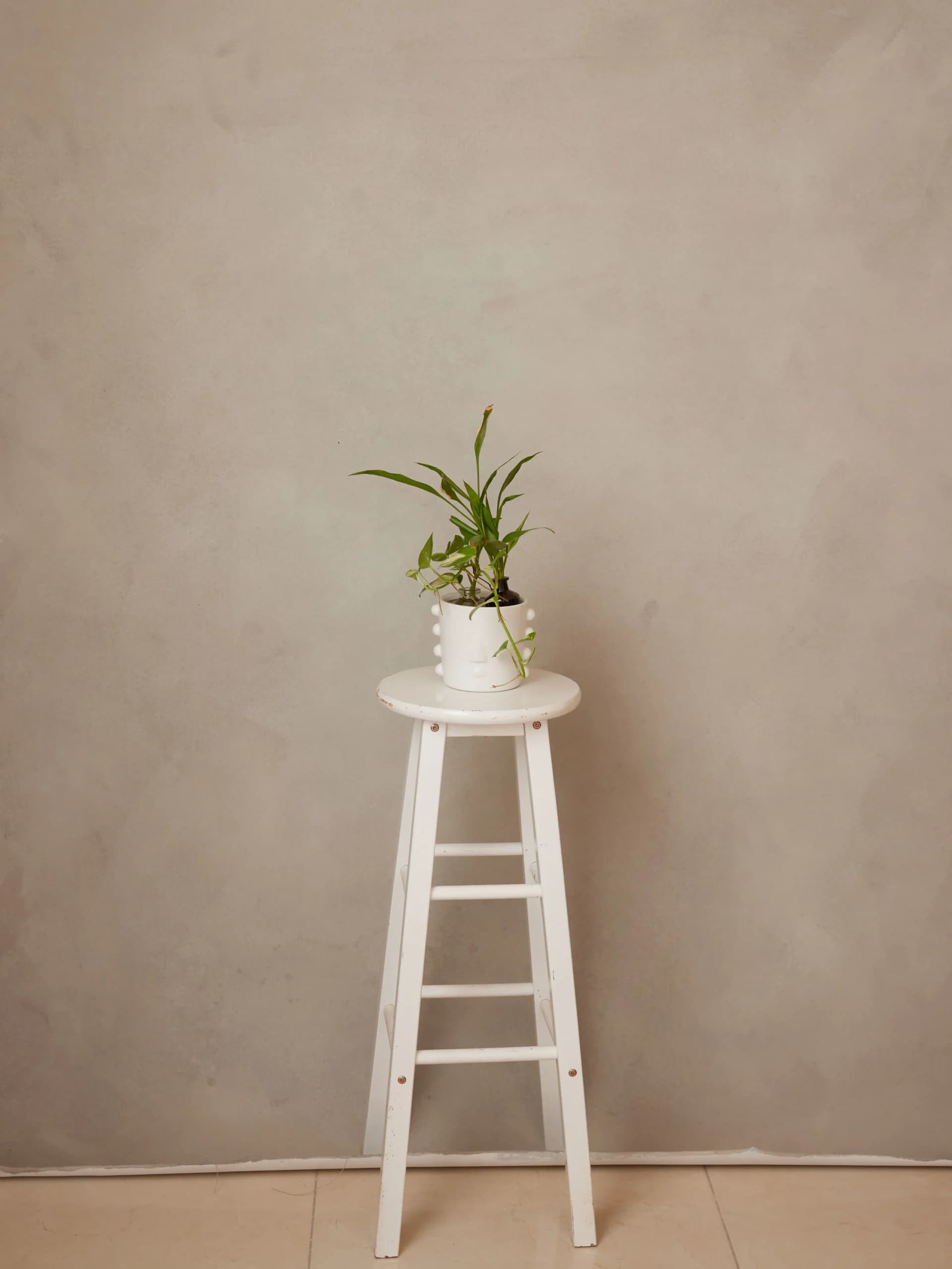 FL04R - Soft Suede hand-painted canvas backdrop, view 1