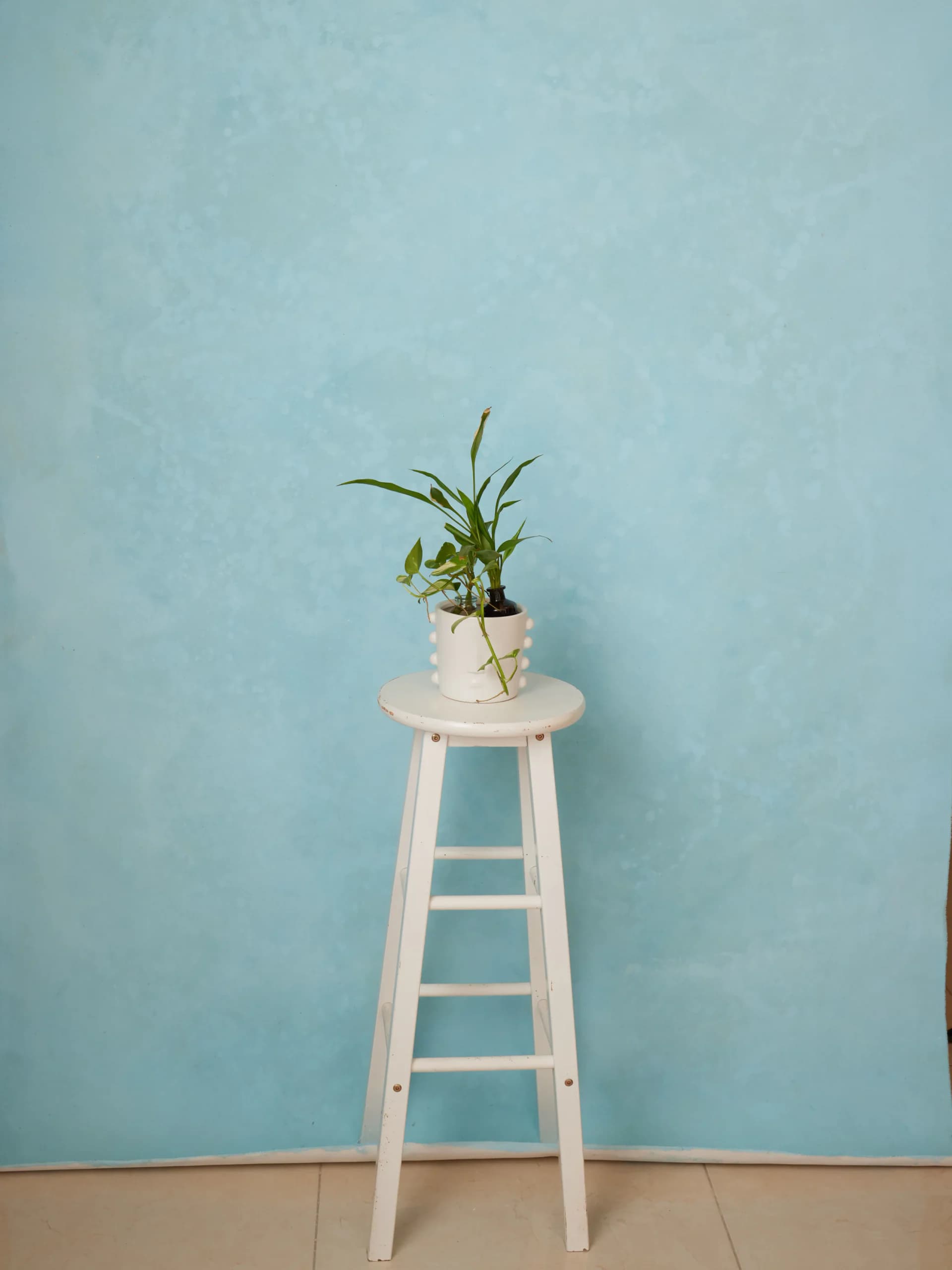 FL03R - Frosted Mint hand-painted canvas backdrop, view 1