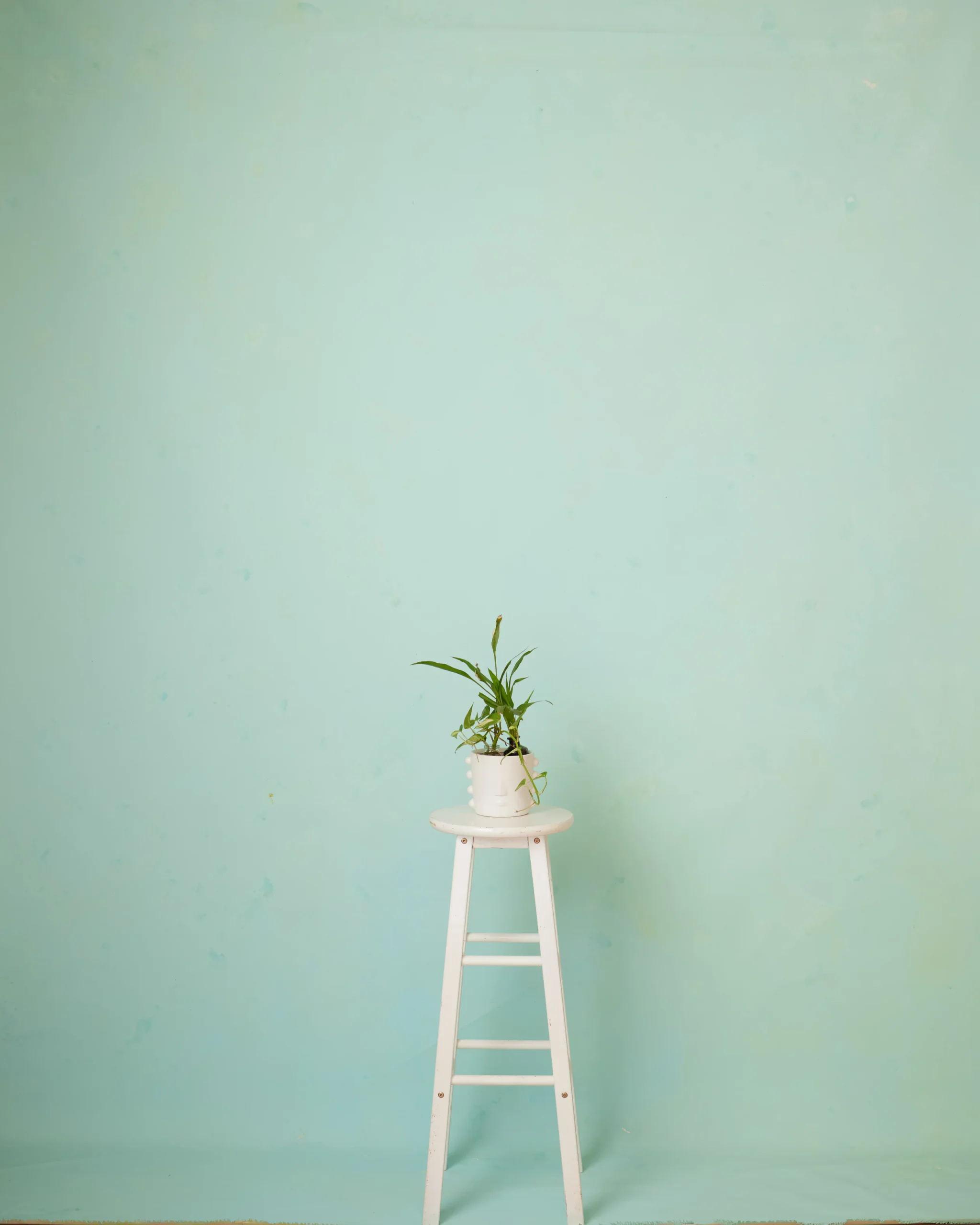 CB044R - Glacial Mint hand-painted canvas backdrop, view 1