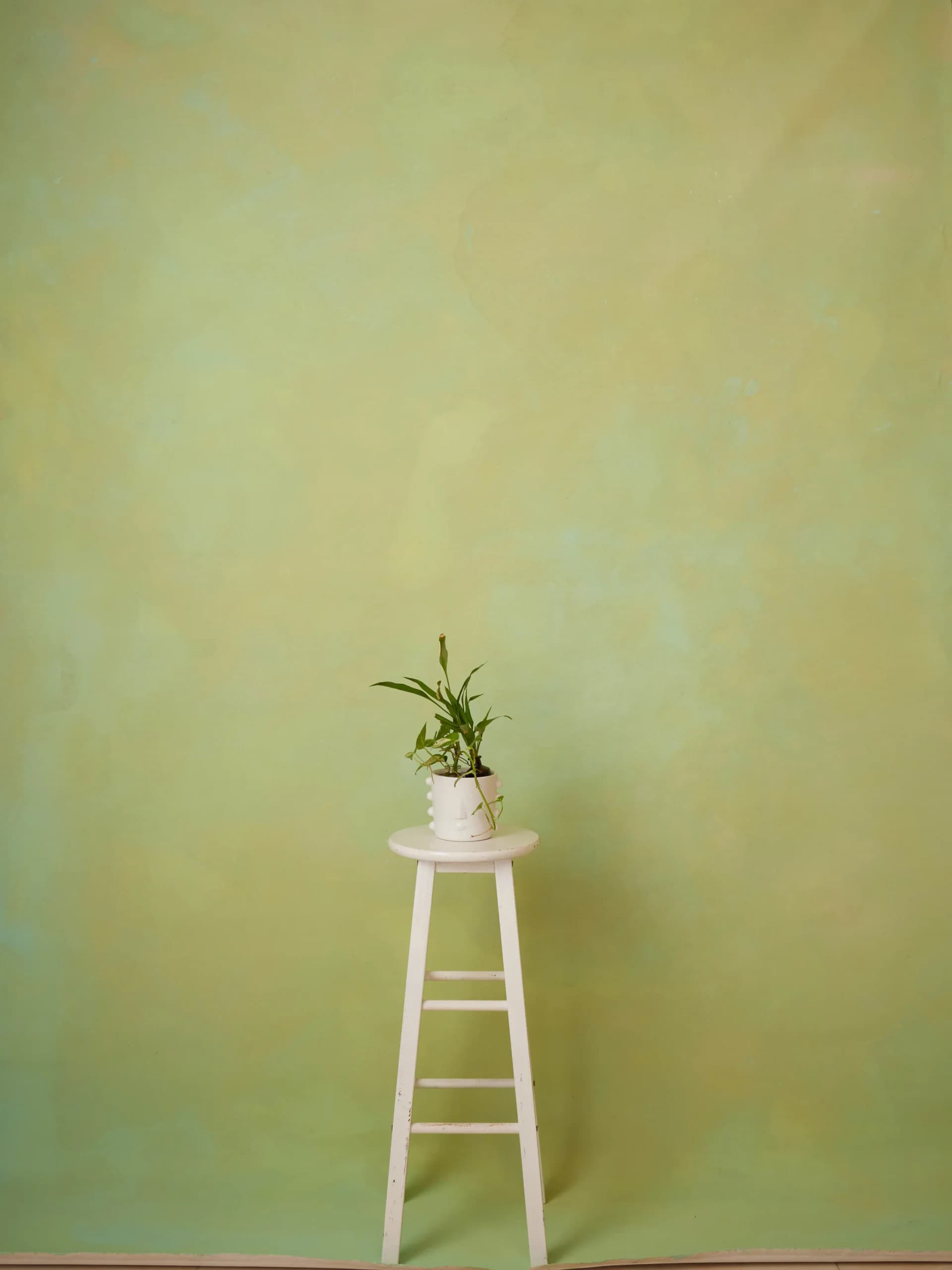 CB042R - Patina Ochre hand-painted canvas backdrop, view 1