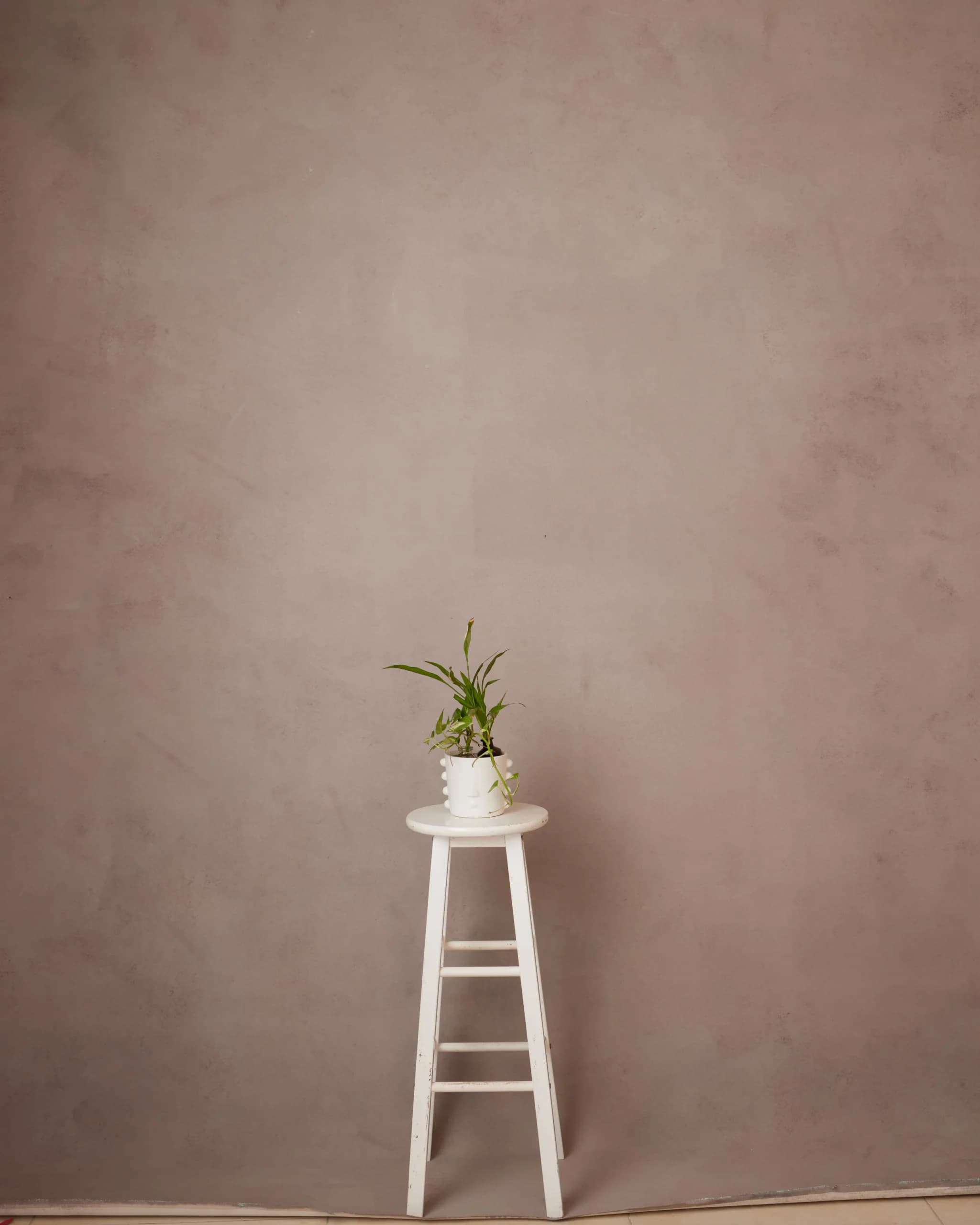 CB040R - Desert Clay hand-painted canvas backdrop, view 1