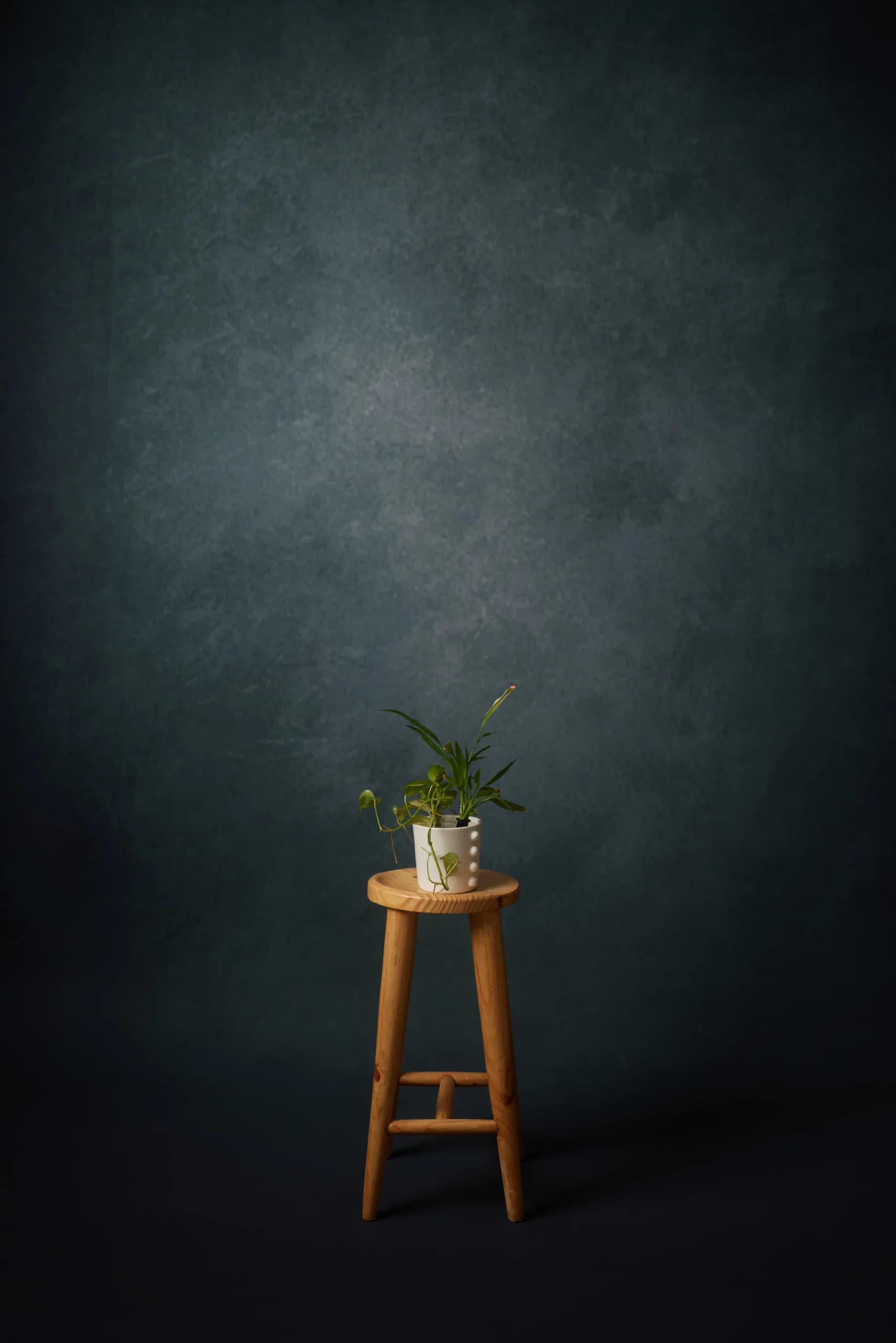 CB051RP - Midnight Teal hand-painted canvas backdrop, view 1