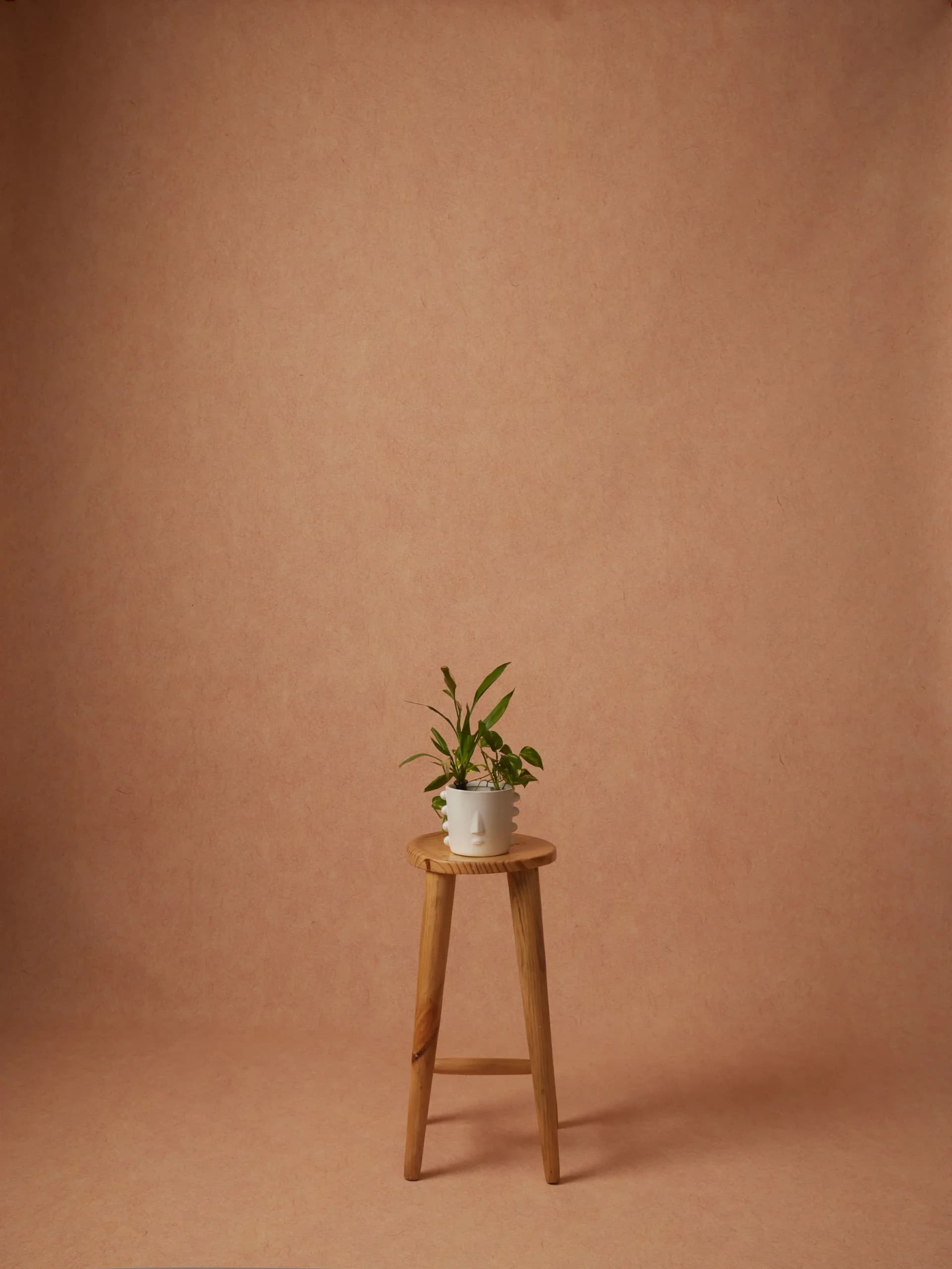 CB053RP - Clay Blush hand-painted canvas backdrop, view 1