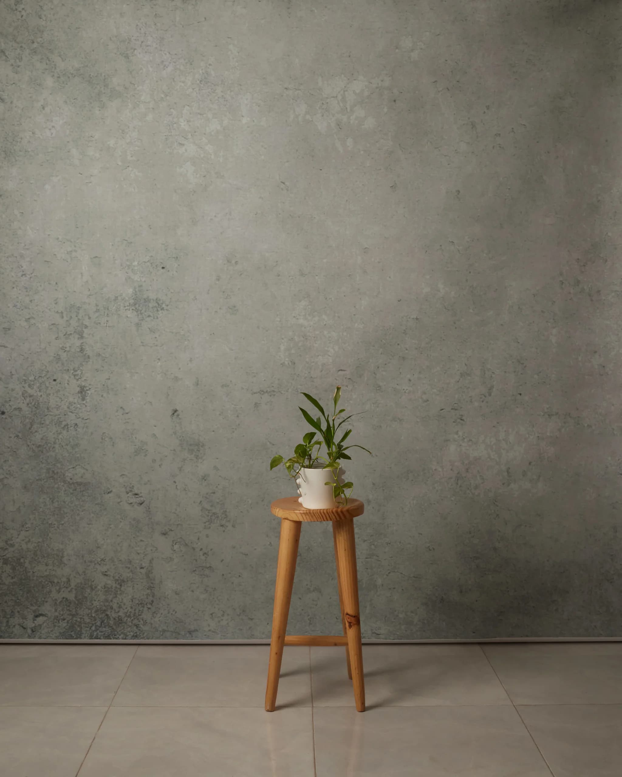CB056RP - Silver Sage hand-painted canvas backdrop, view 1