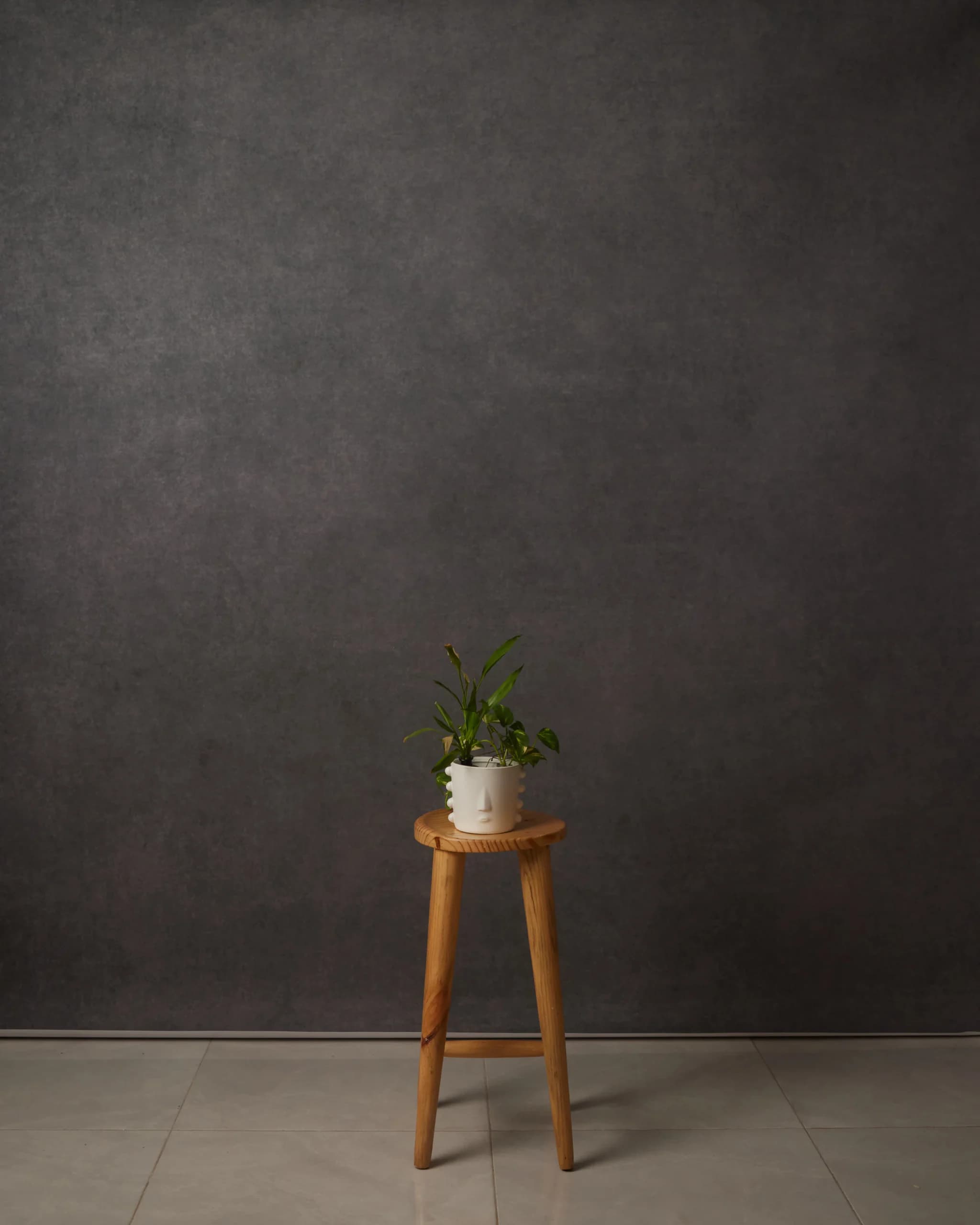 CB057RP - Charcoal Umber hand-painted canvas backdrop, view 1