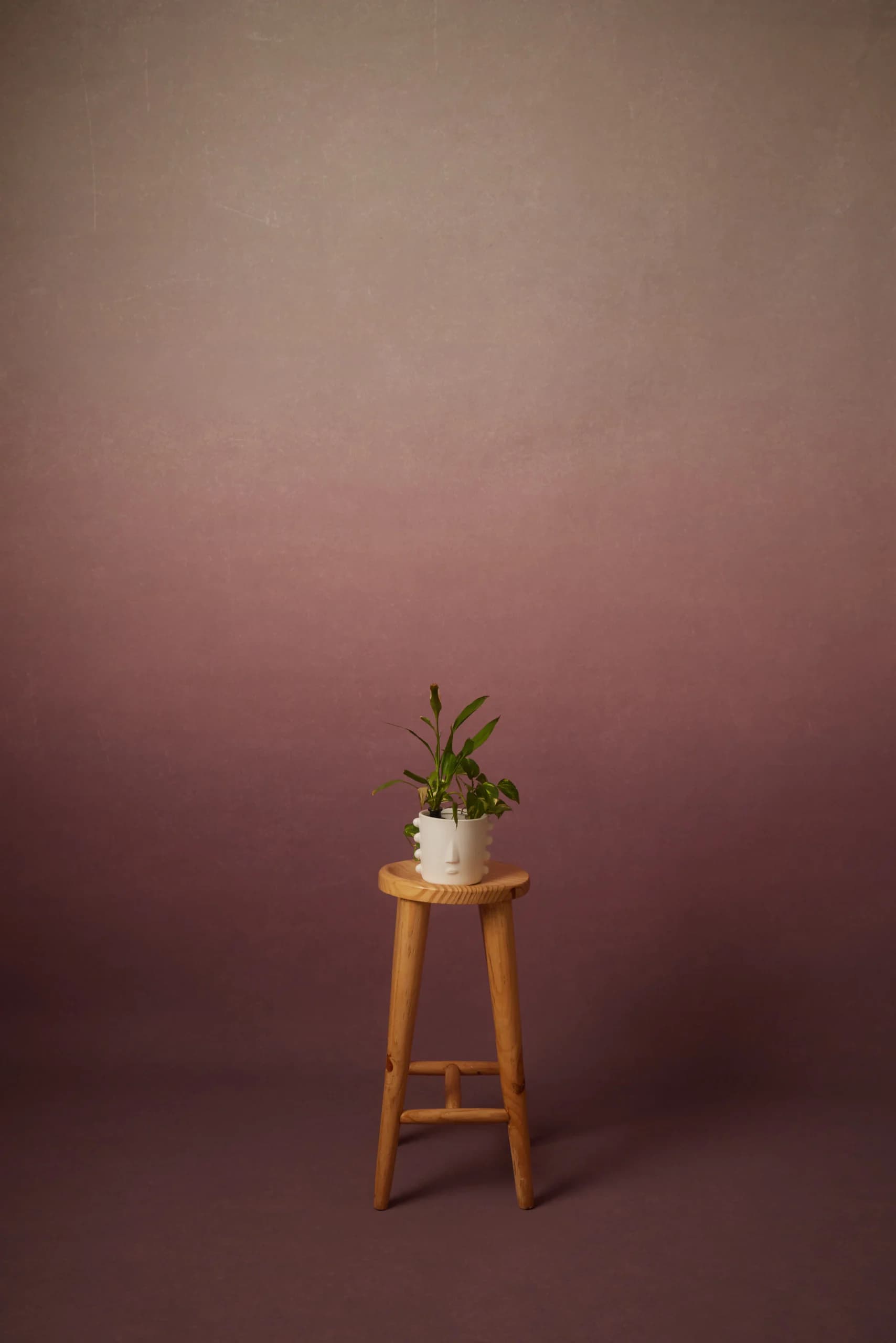 CB062RP - Mauve Dusk hand-painted canvas backdrop, view 1