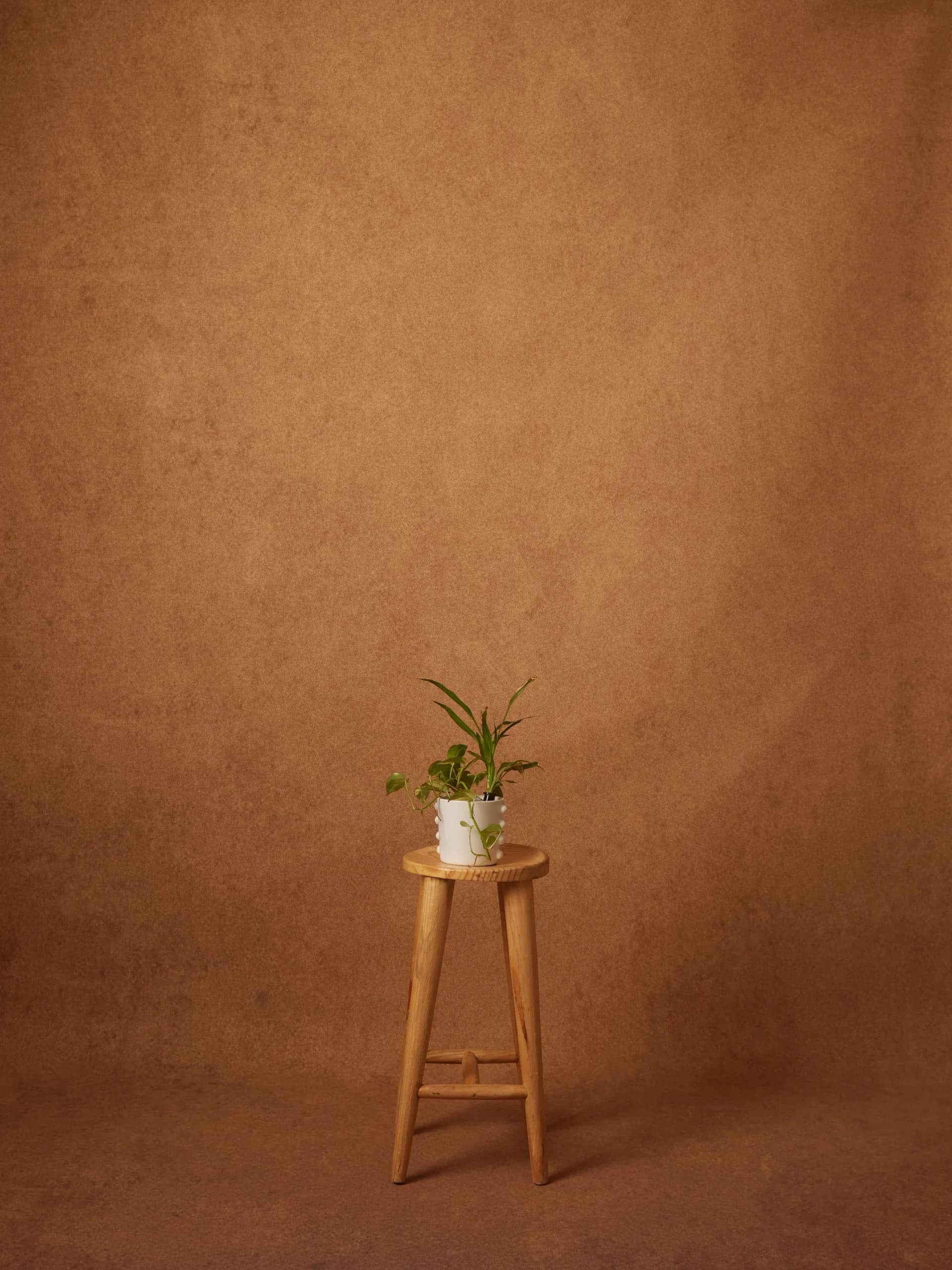 CB063RP - Burnished Ochre printed canvas backdrop, view 1