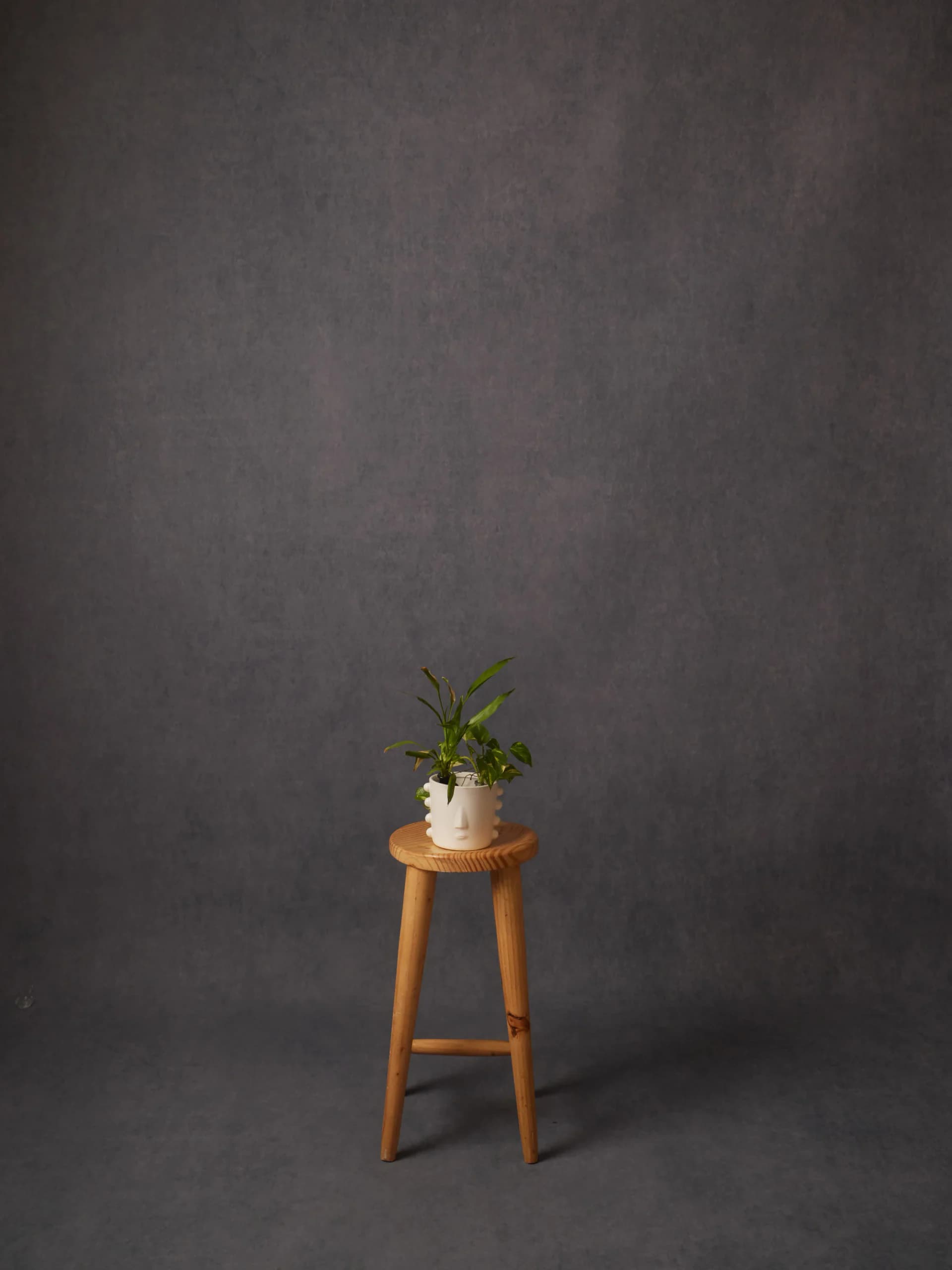 CB064RP - Slate Haze hand-painted canvas backdrop, view 1