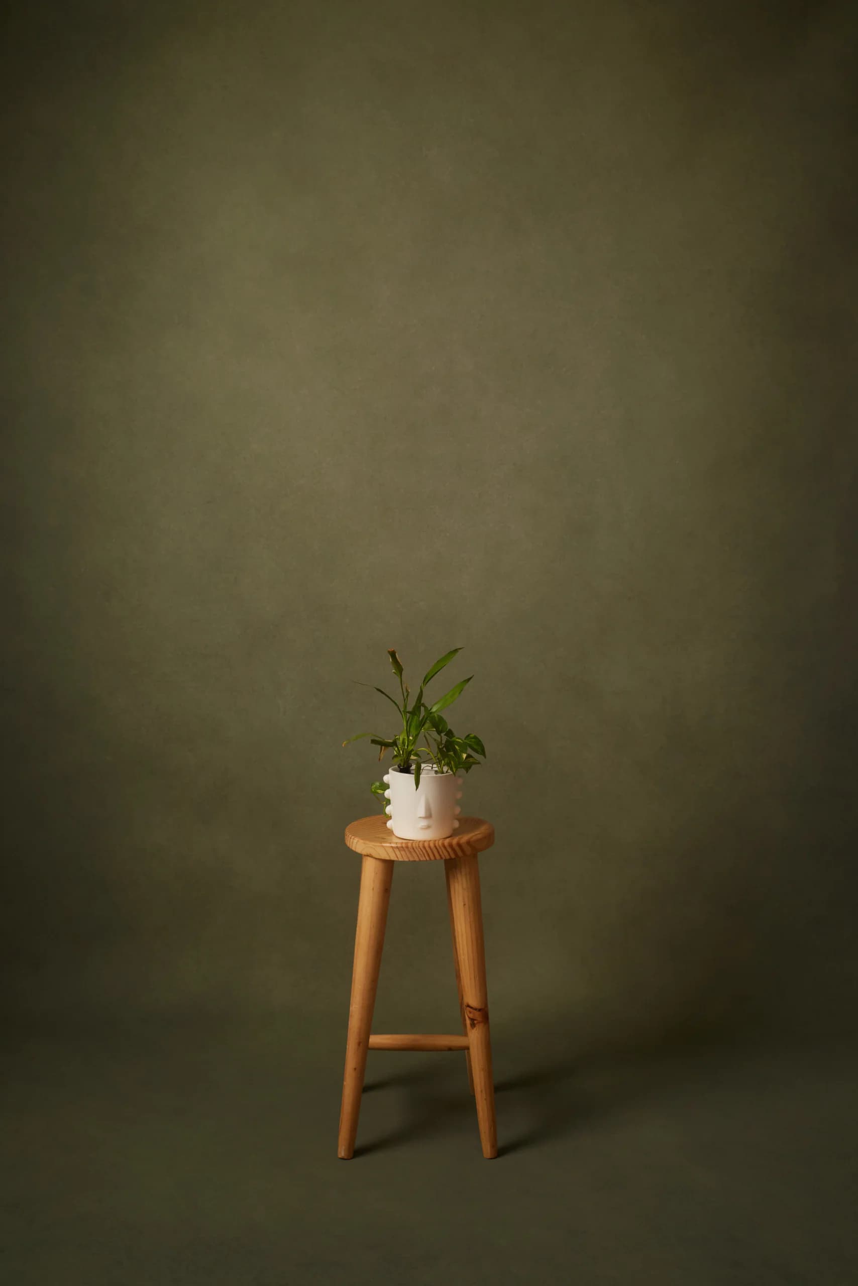 CB065RP - Moss Shadow hand-painted canvas backdrop, view 1