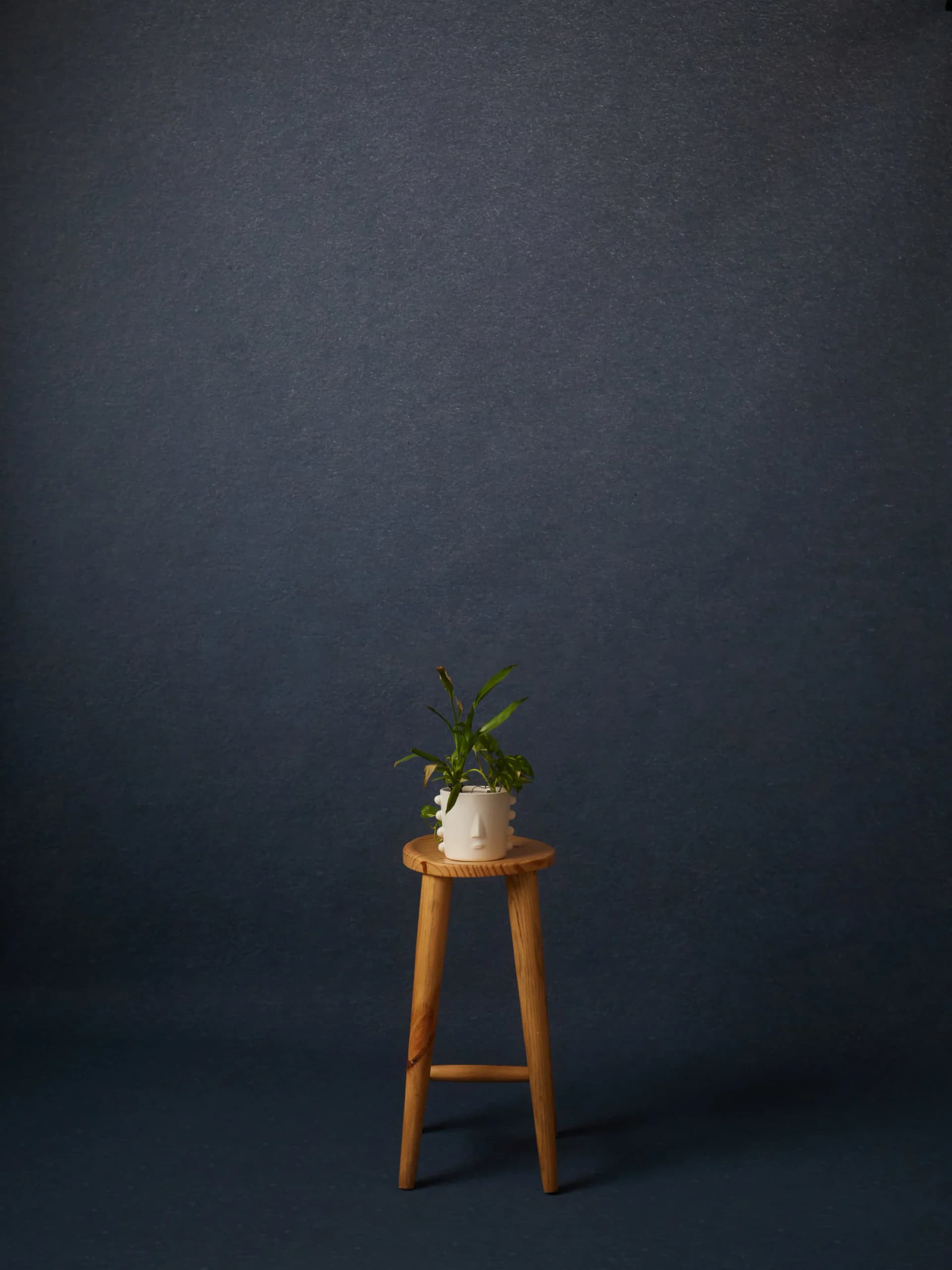 CB068RP - Indigo Night hand-painted canvas backdrop, view 1