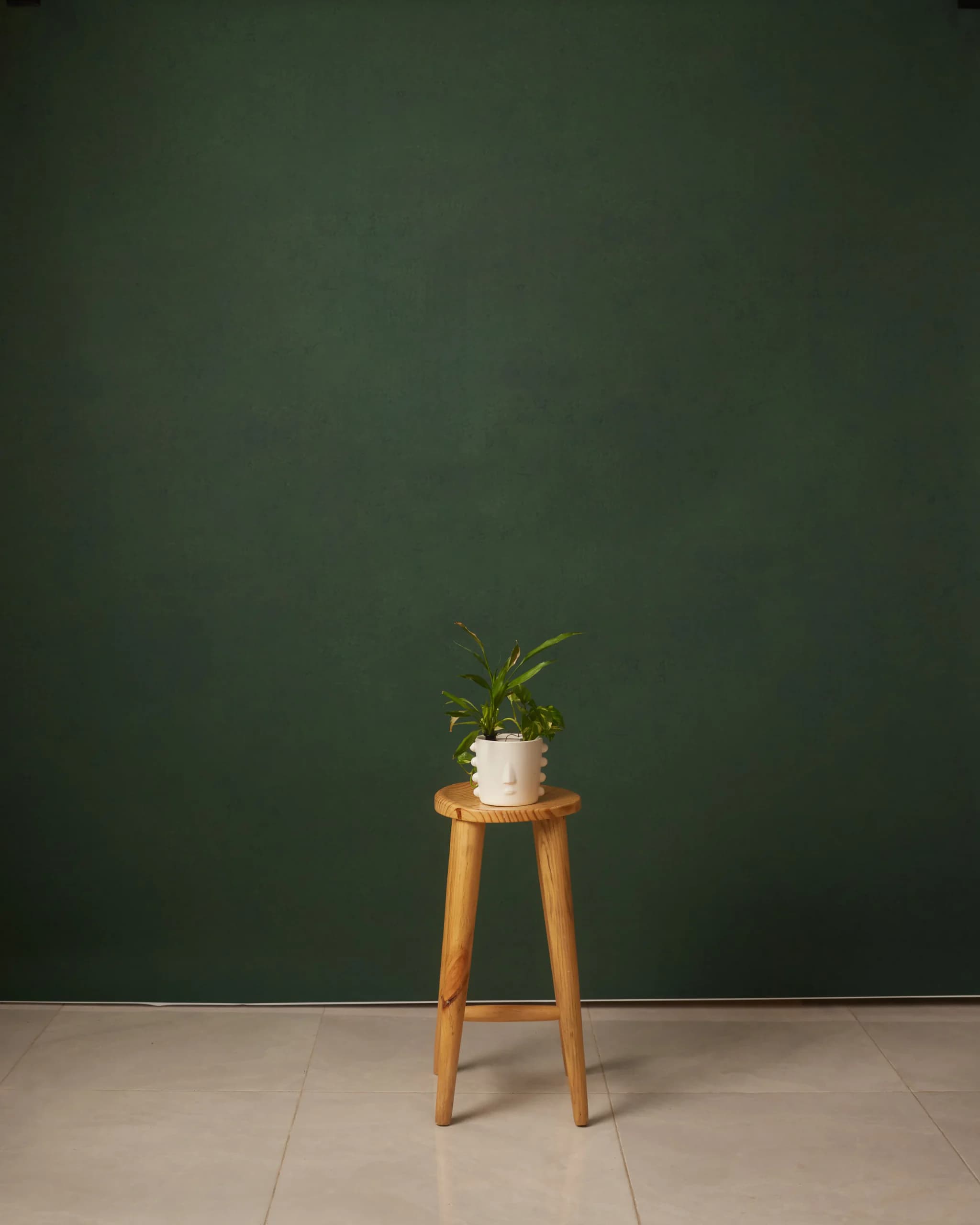 CB070RP - Forest Deep hand-painted canvas backdrop, view 1
