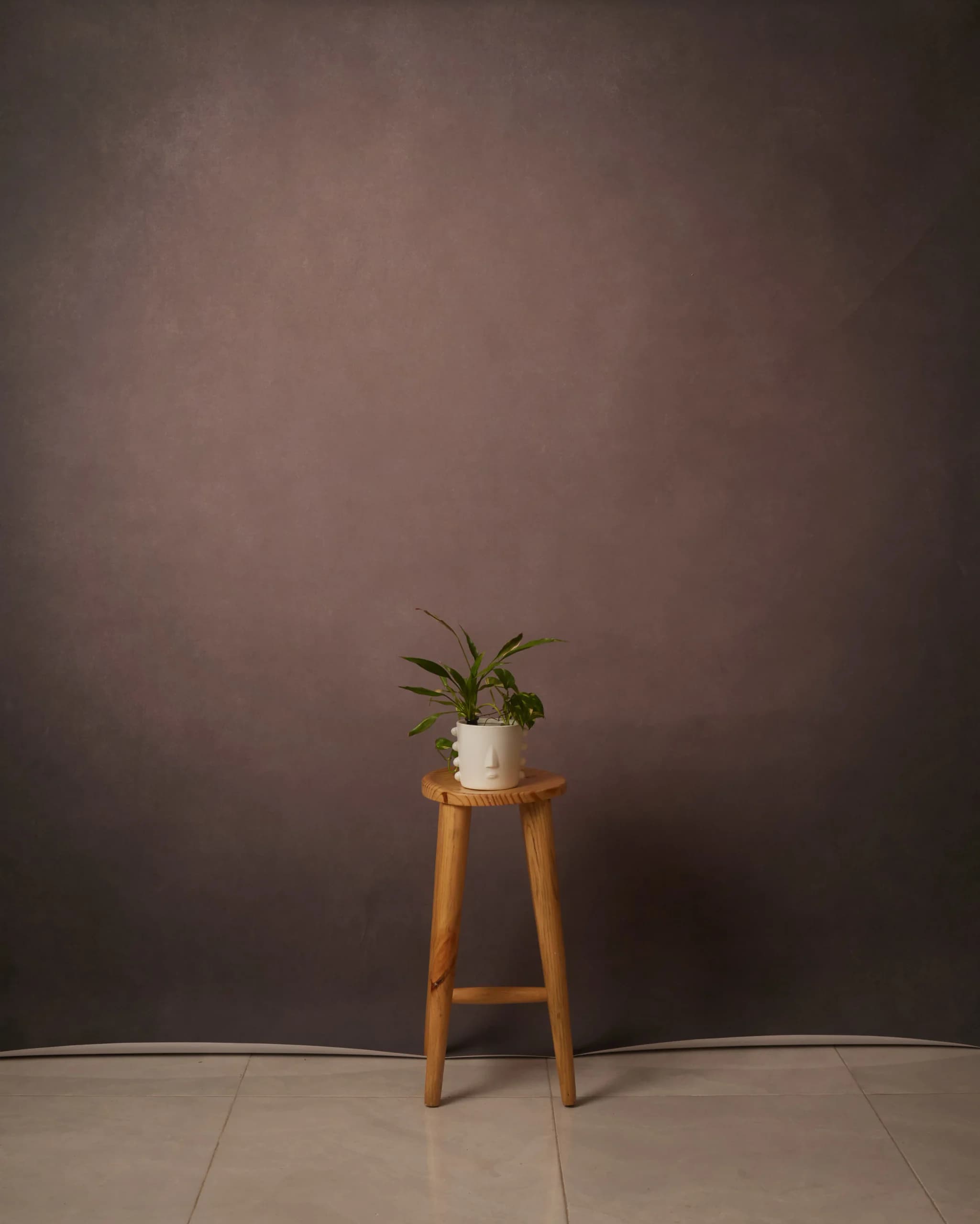 CB076RP - Plum Ash hand-painted canvas backdrop, view 1