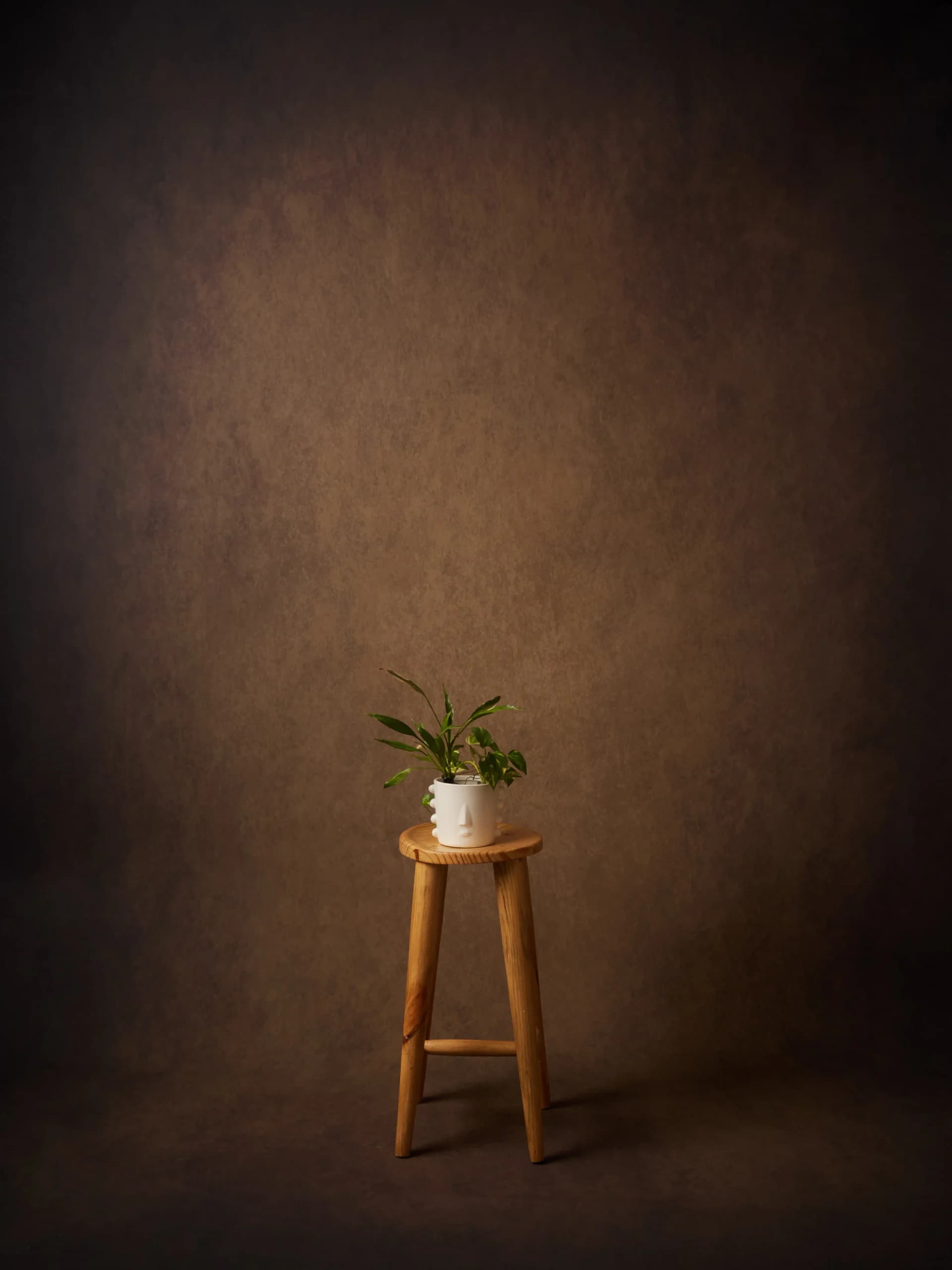 CB078RP - Umber Eclipse hand-painted canvas backdrop, view 1
