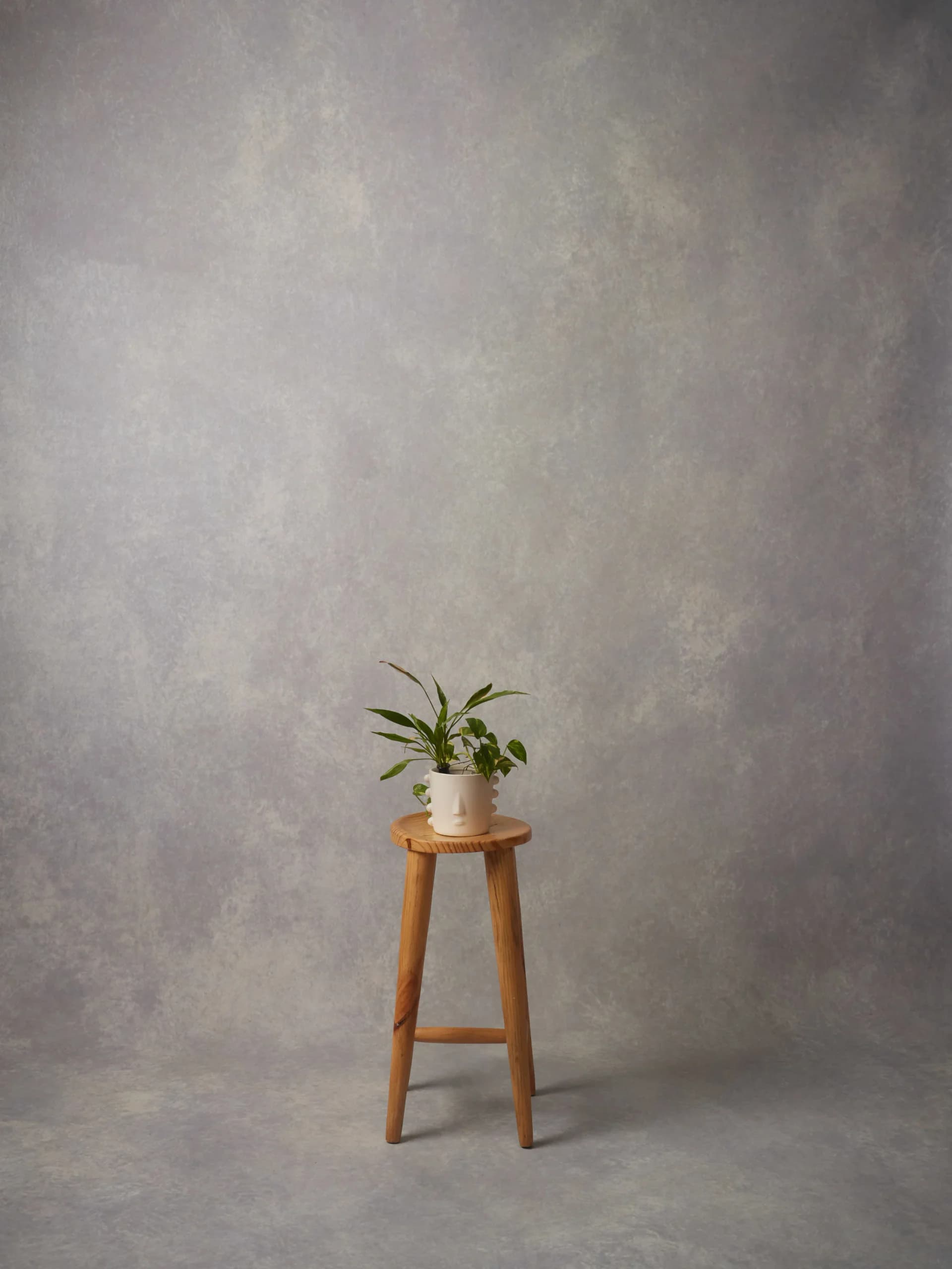 CB080RP - Moonlit Silver hand-painted canvas backdrop, view 1