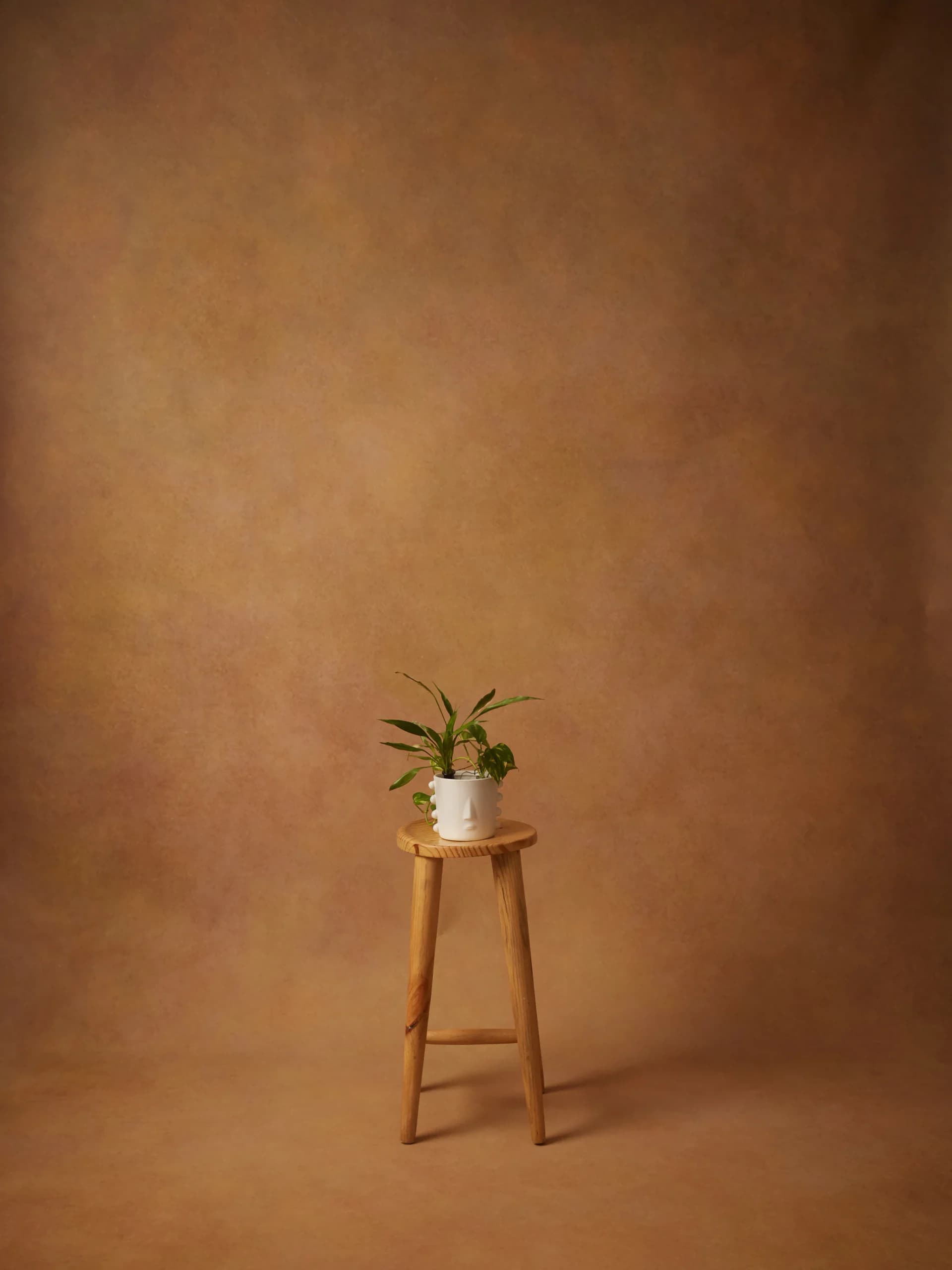 CB081RP - Amber Field hand-painted canvas backdrop, view 1