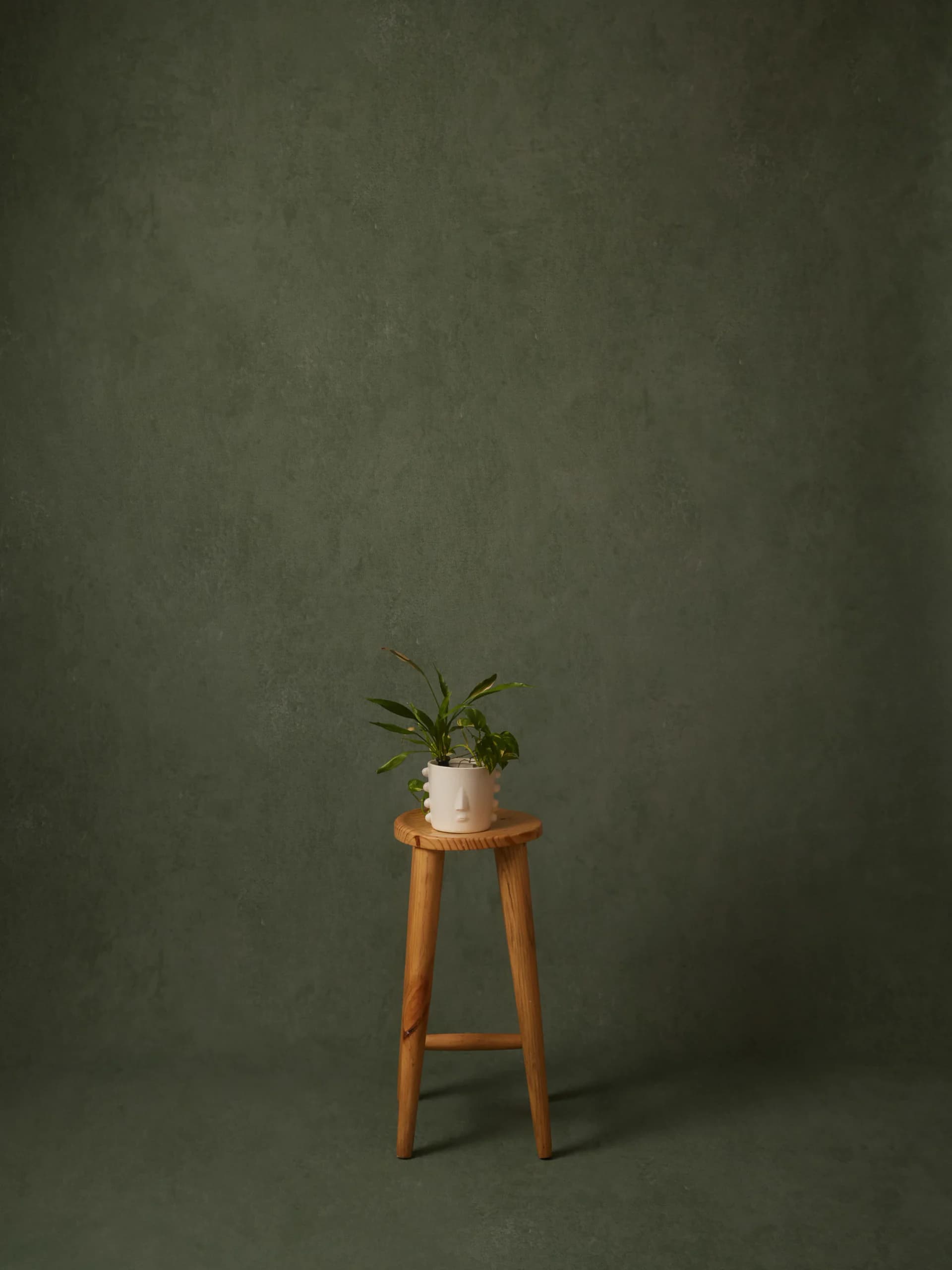 CB082RP - Olive Quiet hand-painted canvas backdrop, view 1