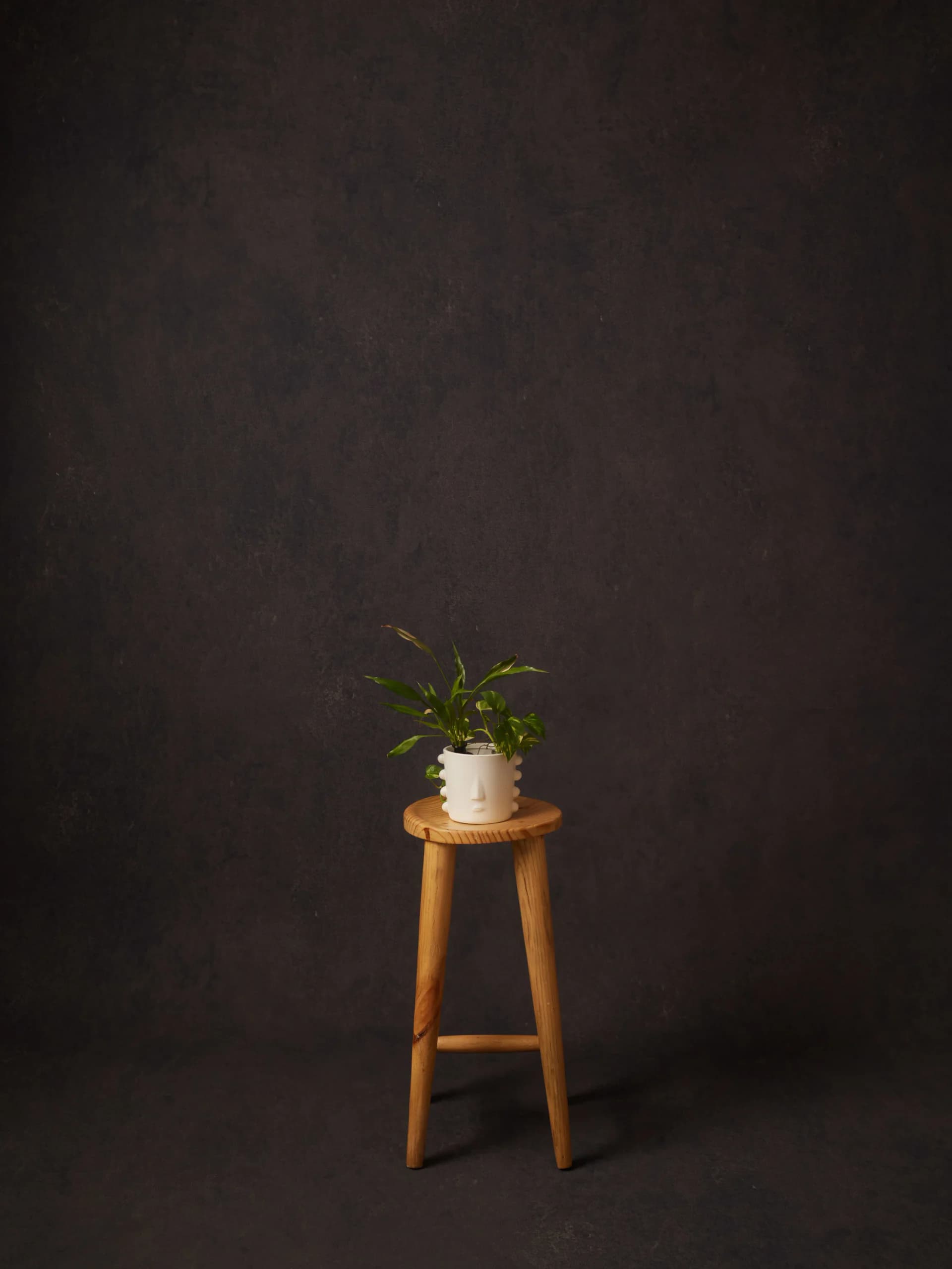 CB083RP - Cocoa Night hand-painted canvas backdrop, view 1