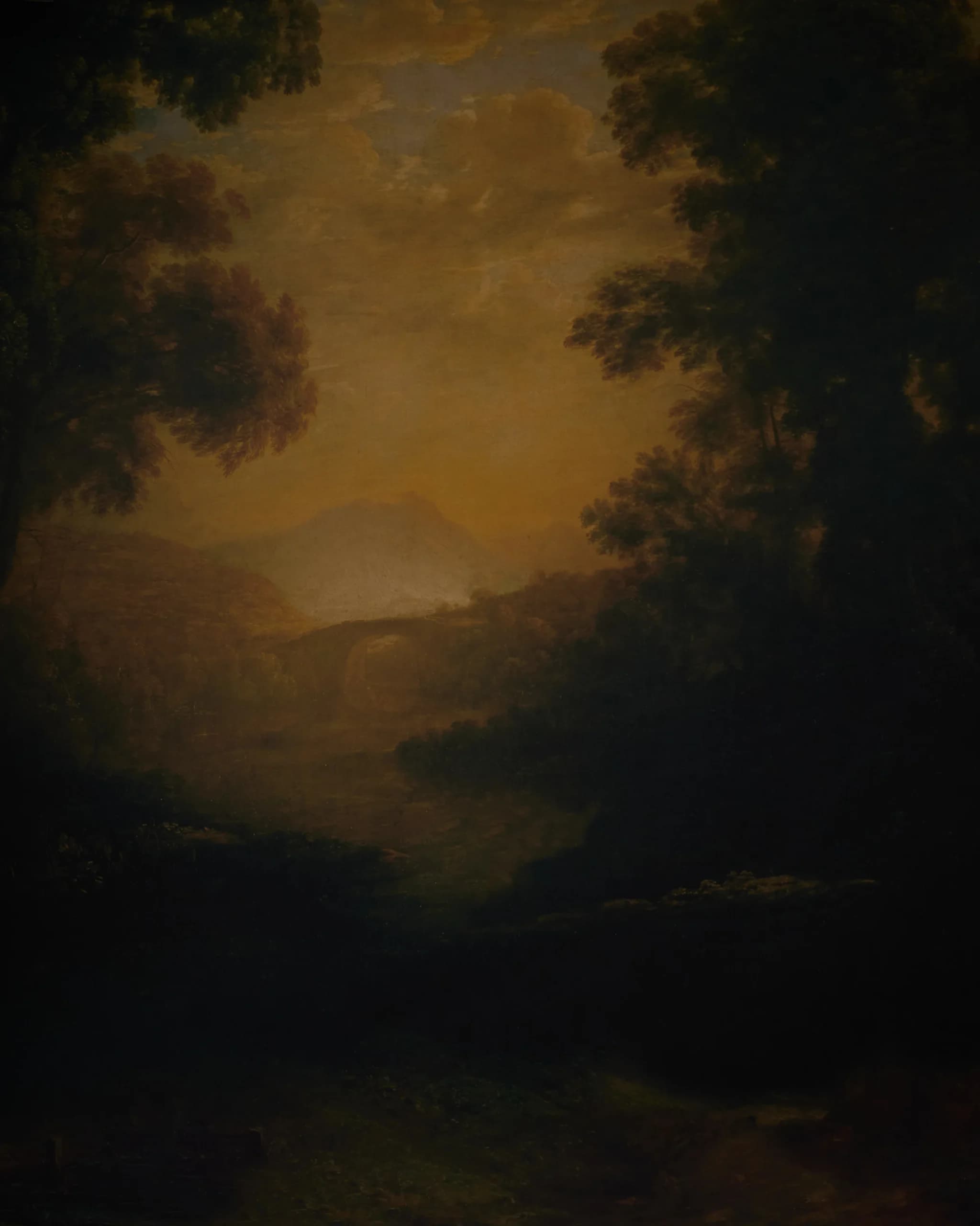 CB085RP - Woodland Nocturne printed canvas backdrop, view 2