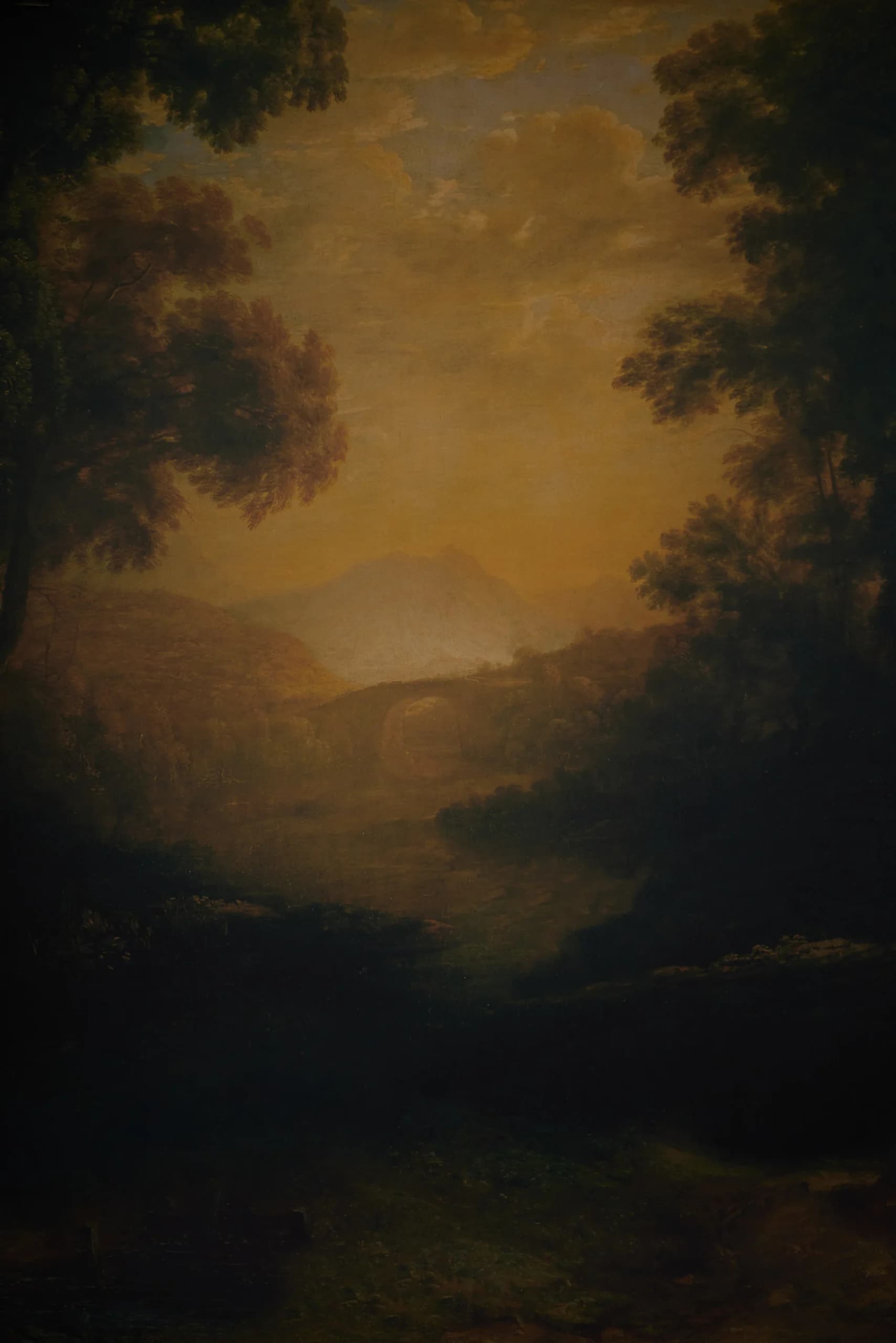 CB085RP - Woodland Nocturne printed canvas backdrop, view 3