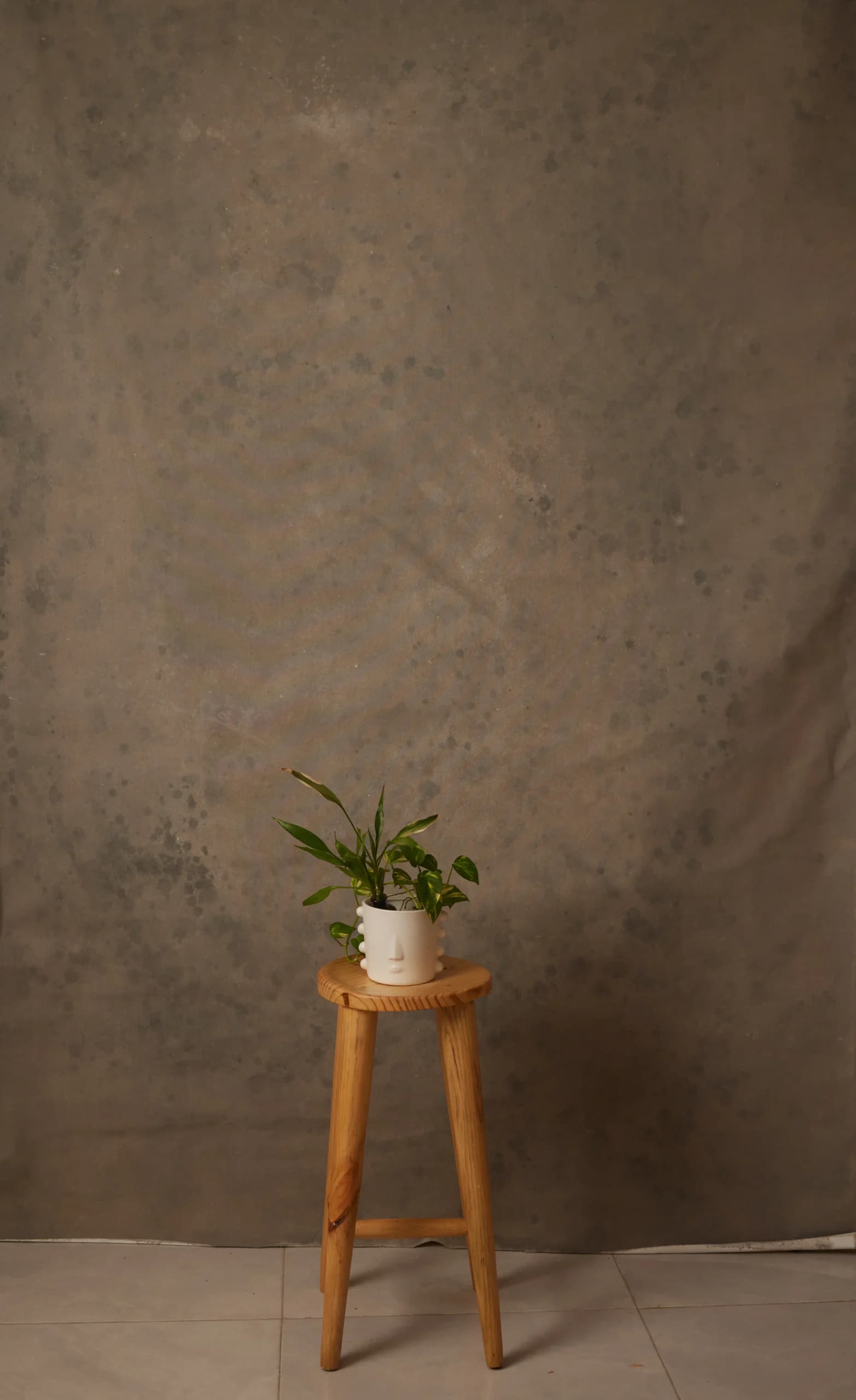 CB090R - Weathered Taupe hand-painted canvas backdrop, view 1
