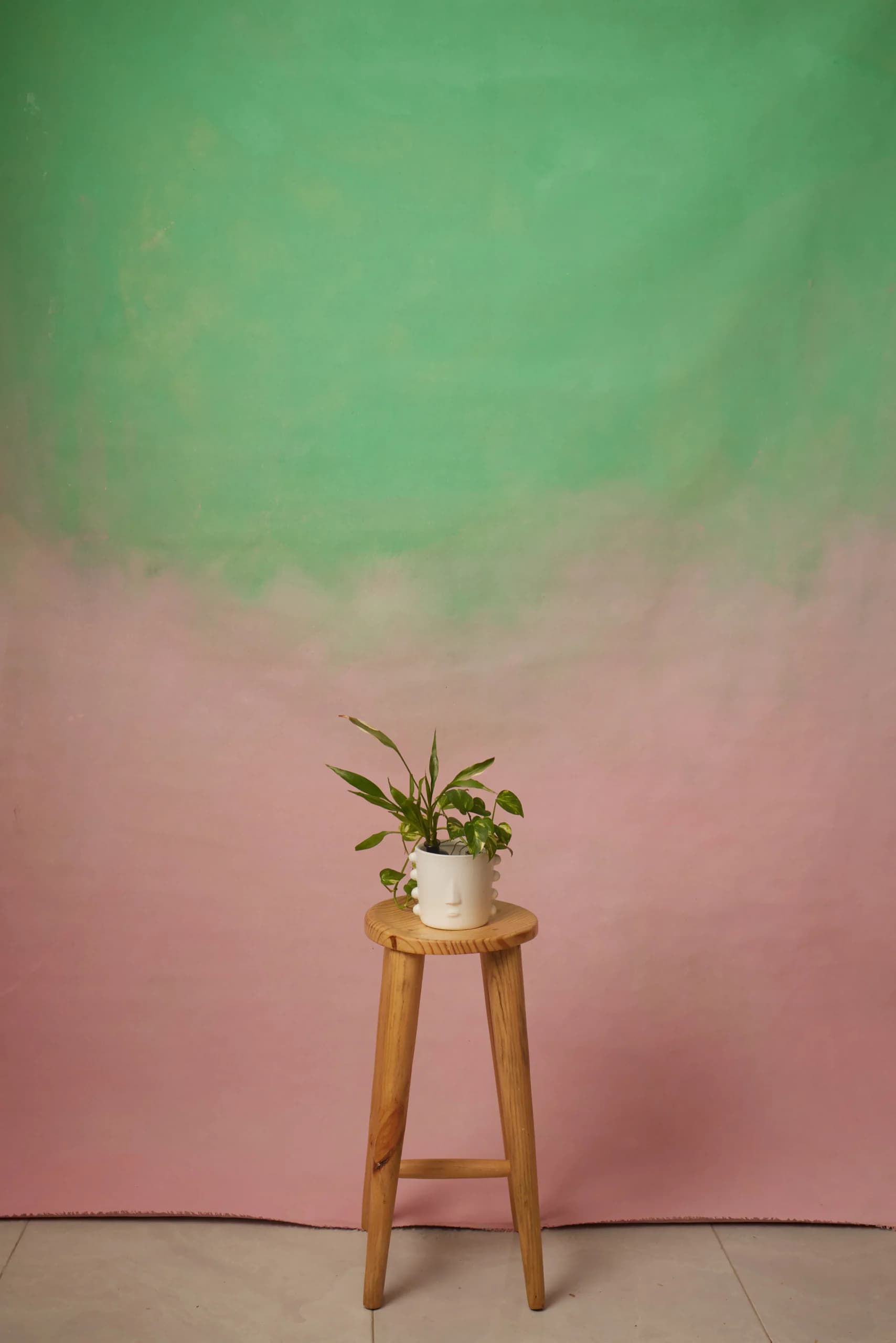 CB092R - Mint Blush hand-painted canvas backdrop, view 1