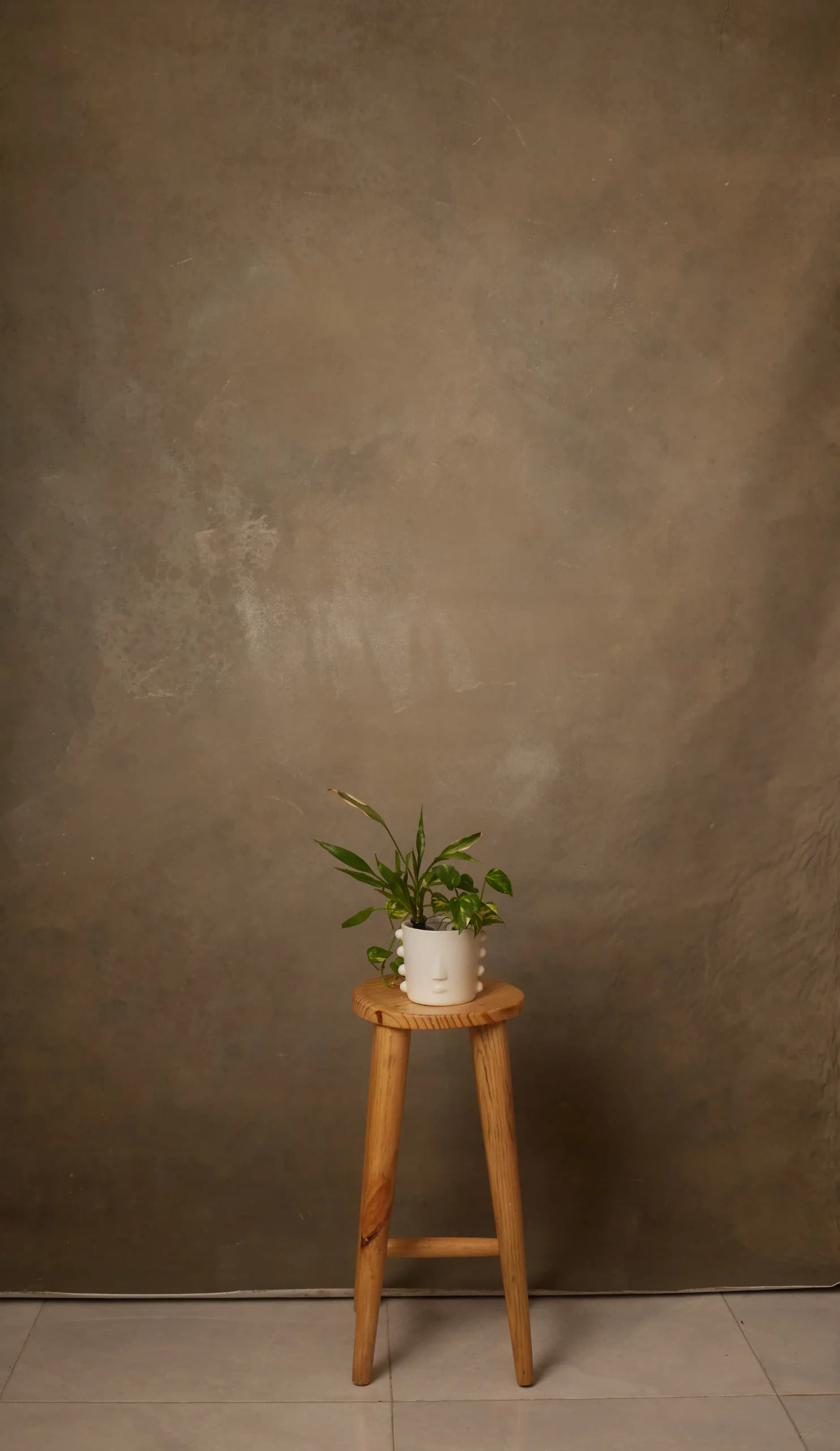 CB093R - Olive Stone hand-painted canvas backdrop, view 1