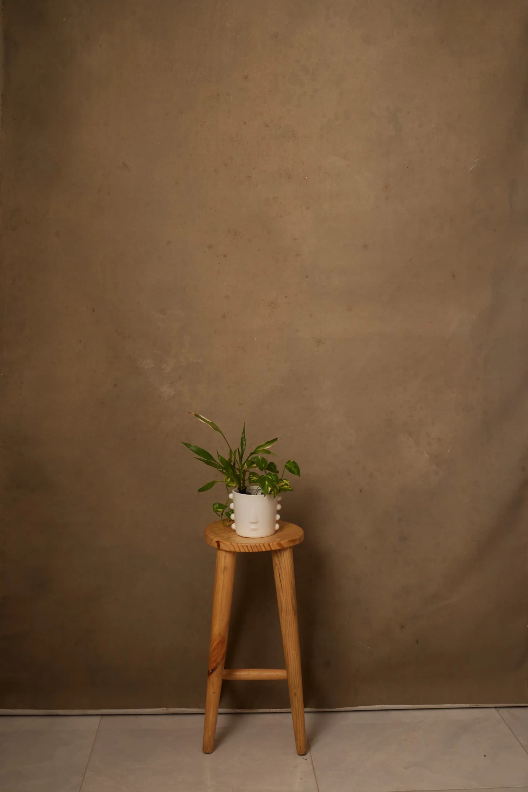 CB094R - Caramel Earth hand-painted canvas backdrop, view 1