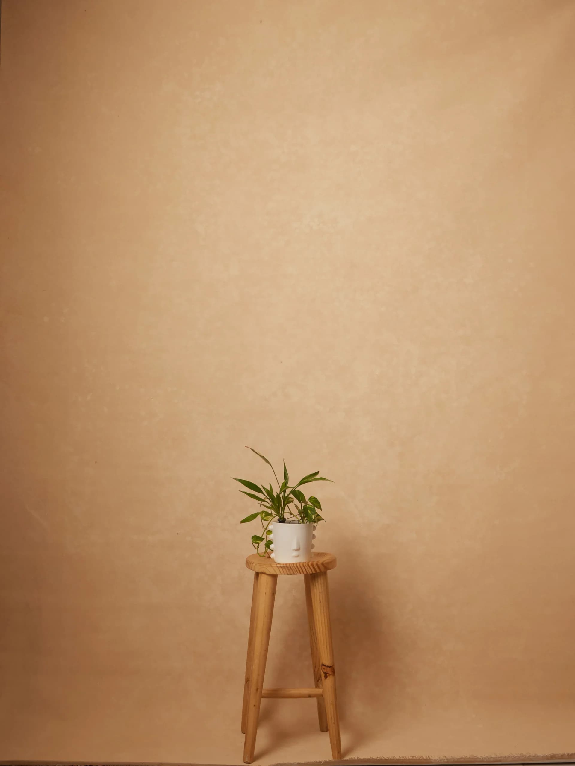 CB096R - Vanilla Sand hand-painted canvas backdrop, view 1