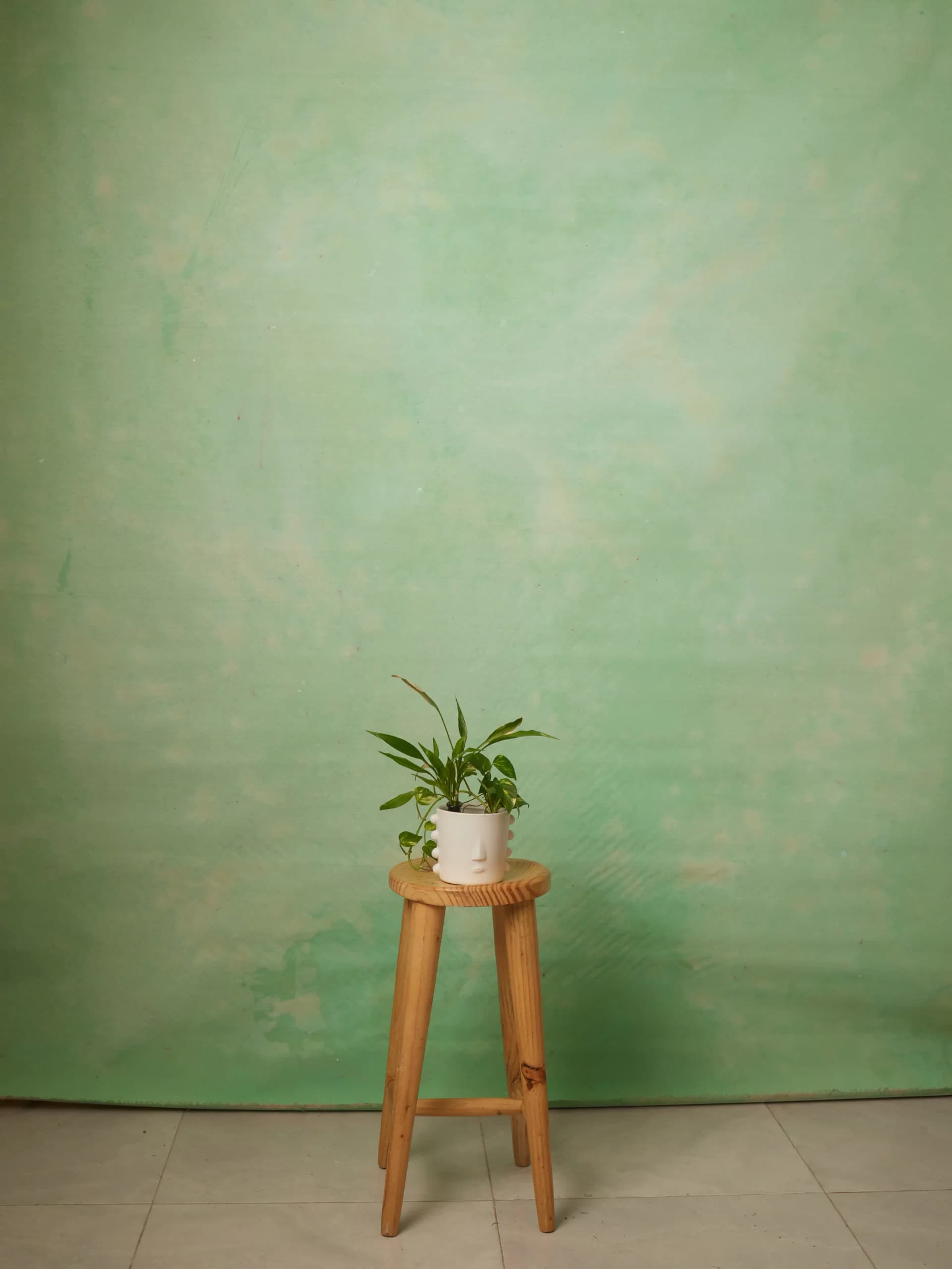 CB097R - Mint Canvas hand-painted canvas backdrop, view 1