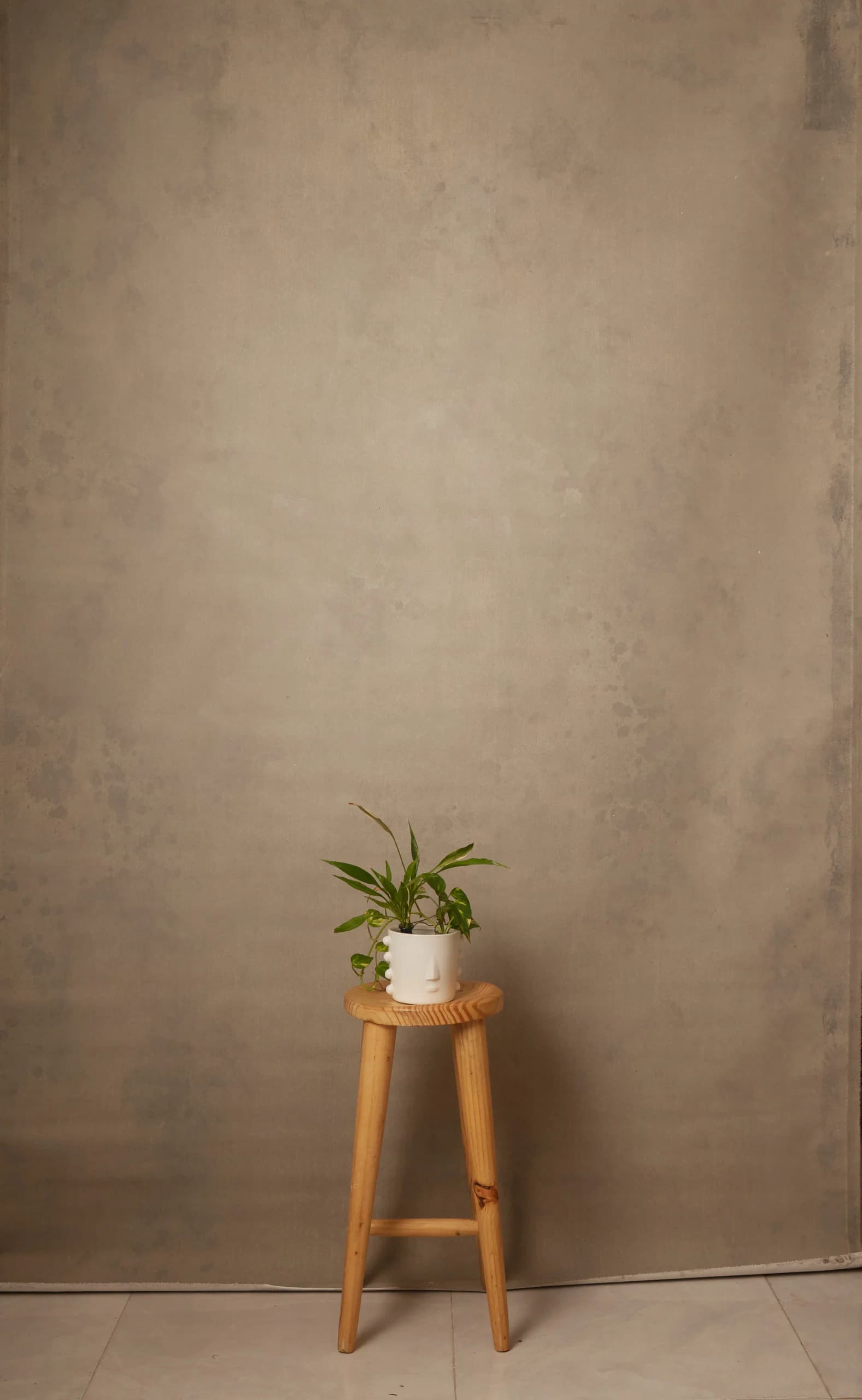 CB100R - Taupe Whisper hand-painted canvas backdrop, view 1