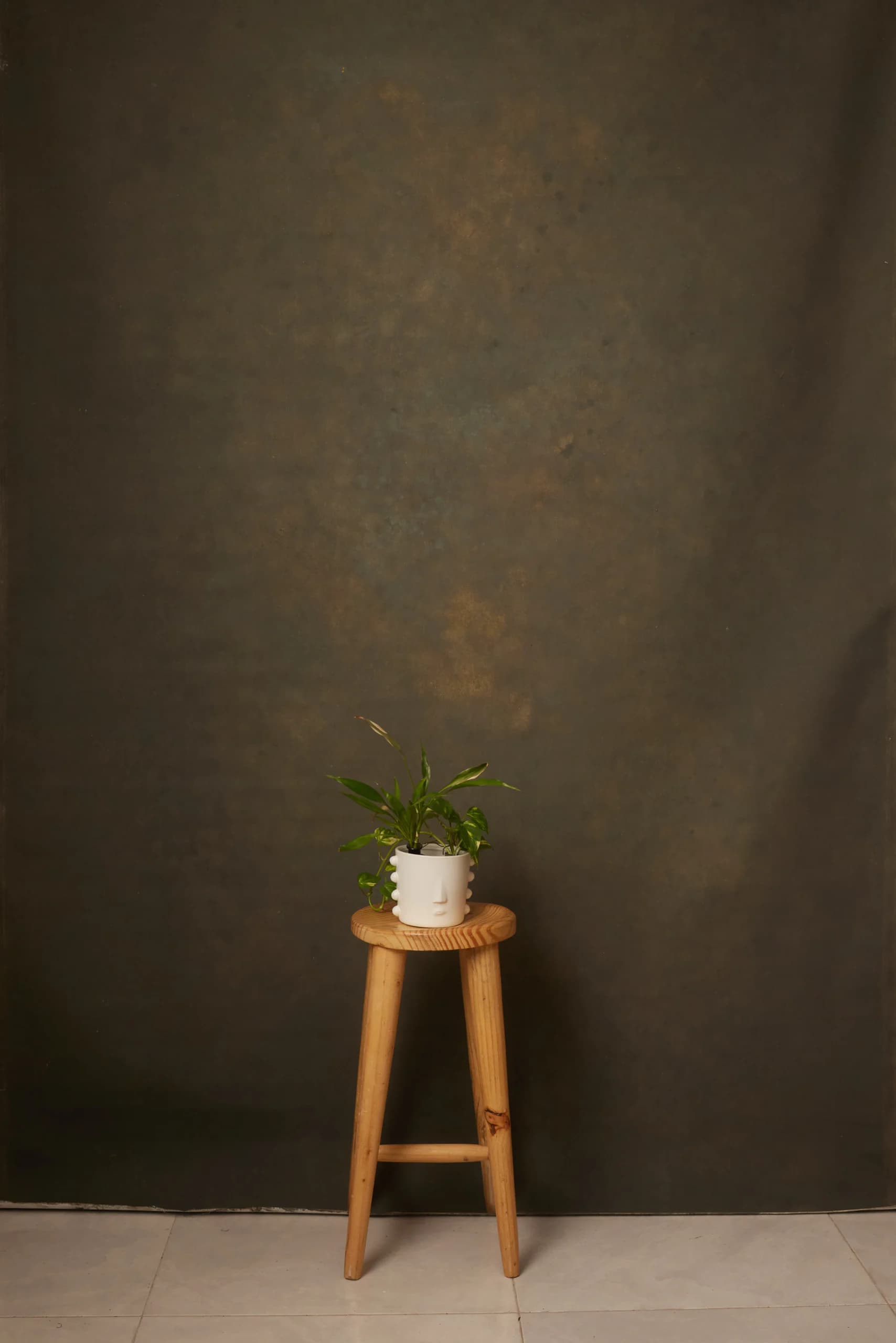 CB101R - Gilded Olive hand-painted canvas backdrop, view 1
