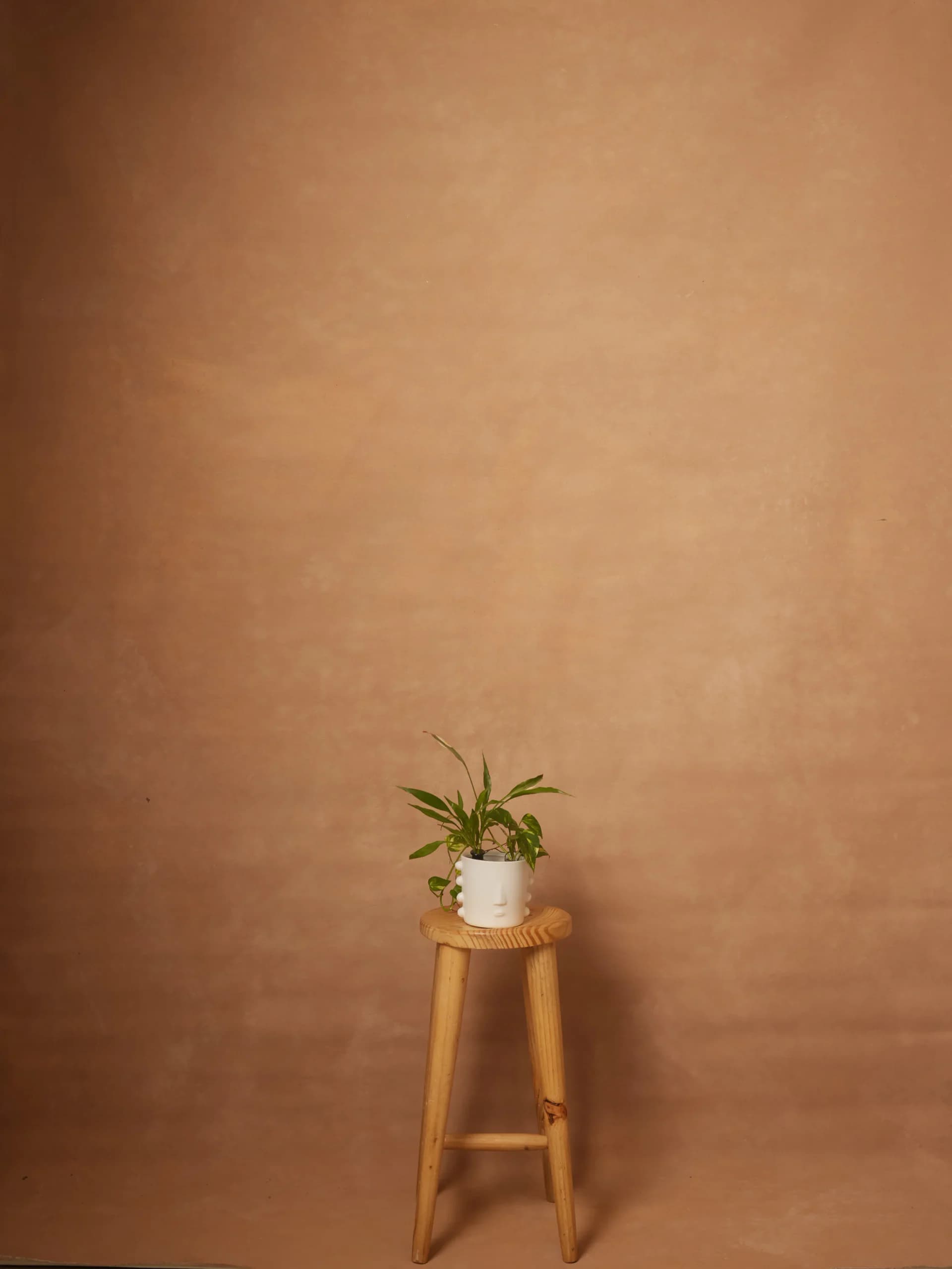 CB102R - Peach Clay hand-painted canvas backdrop, view 1