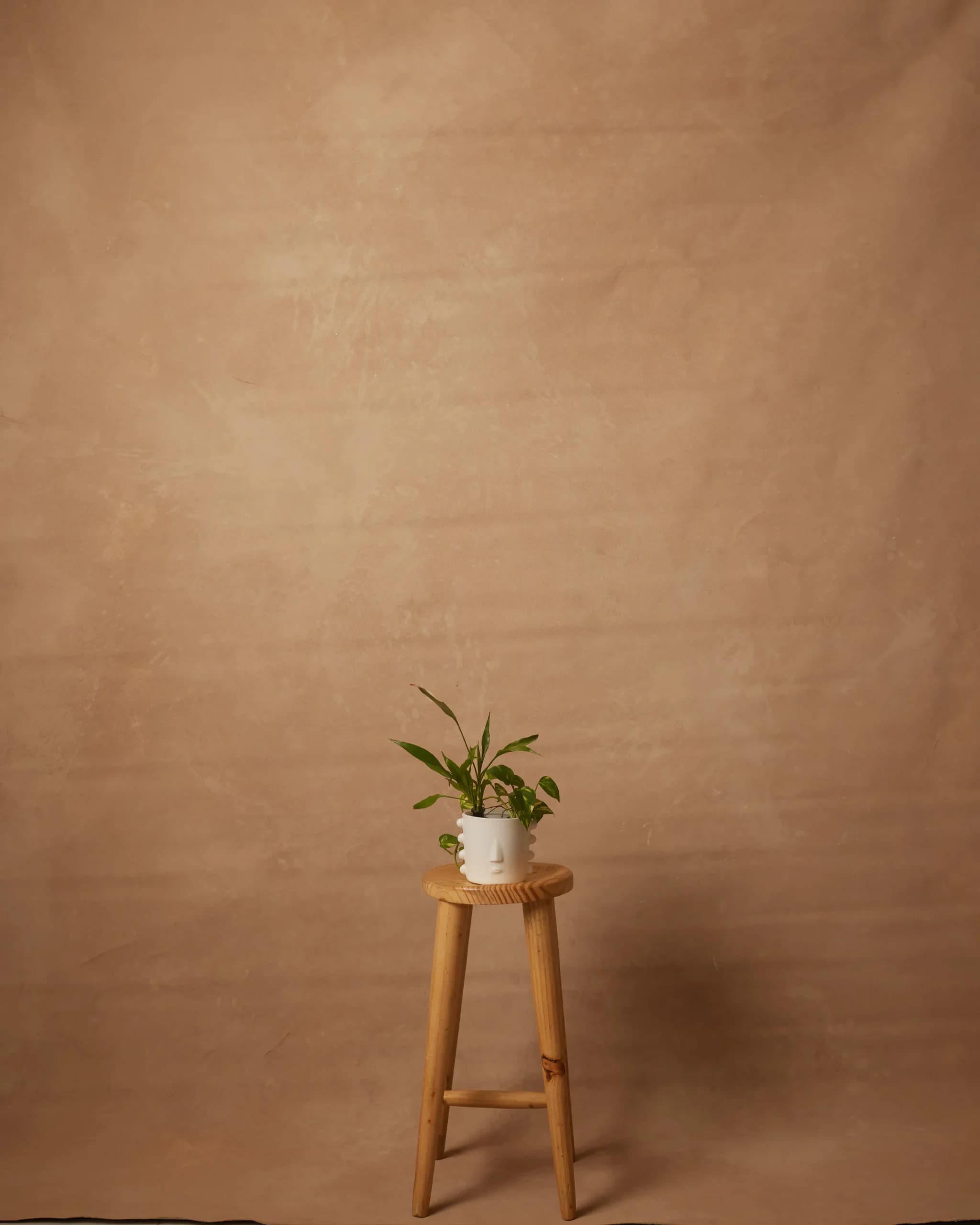 CB103R - Rose Sand hand-painted canvas backdrop, view 1