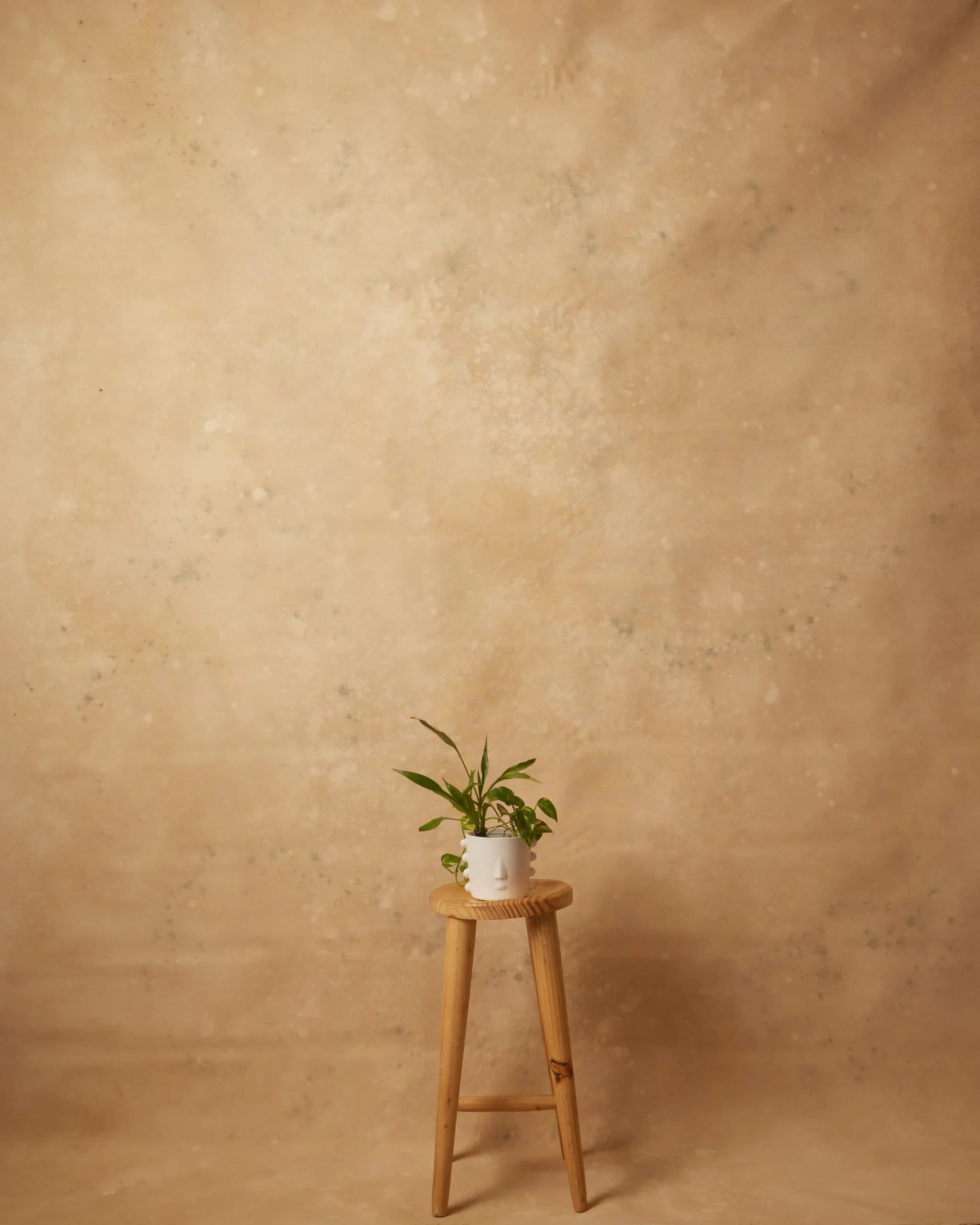 CB105R - Sunlit Cream hand-painted canvas backdrop, view 1