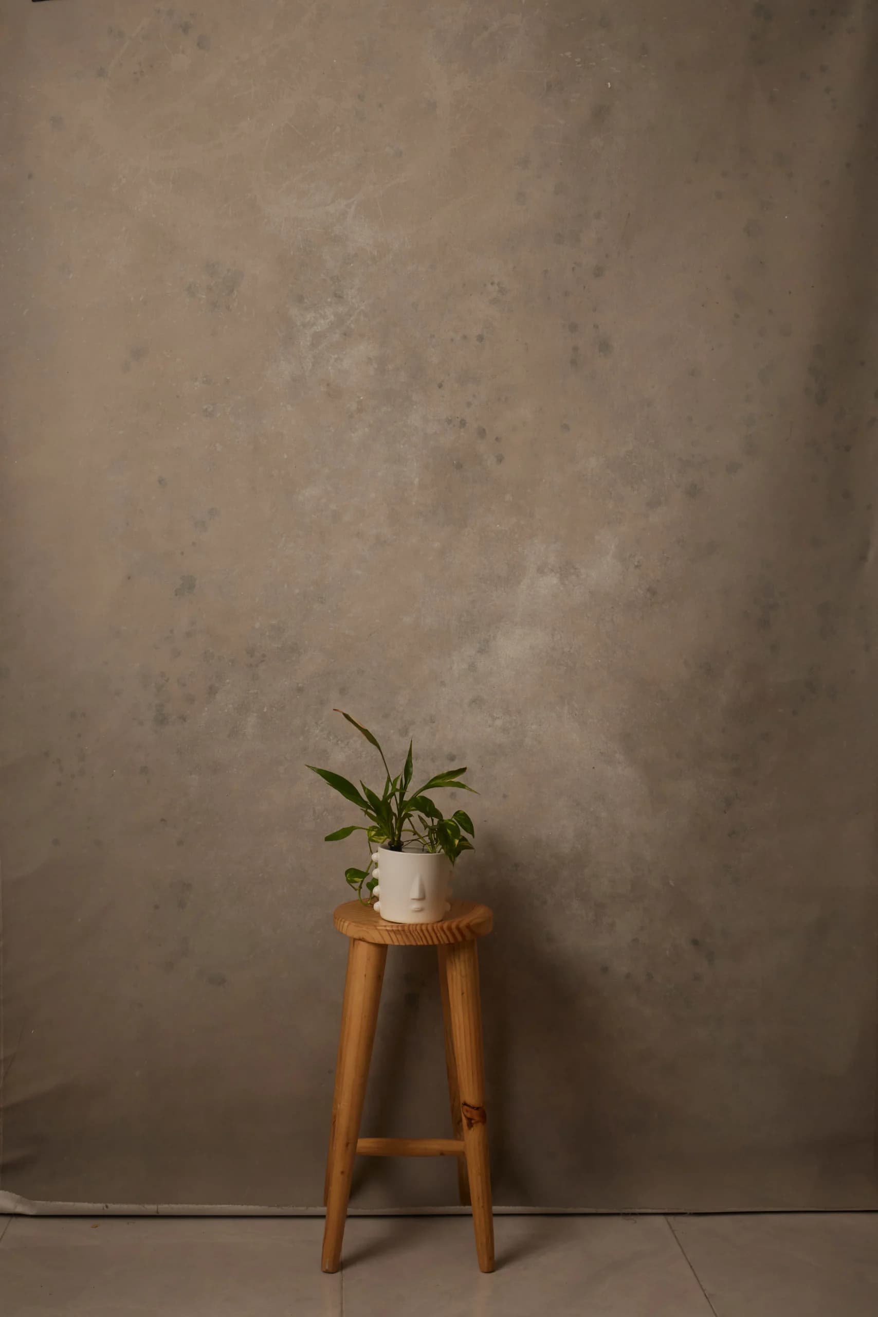 CB107R - Stone Quiet hand-painted canvas backdrop, view 1