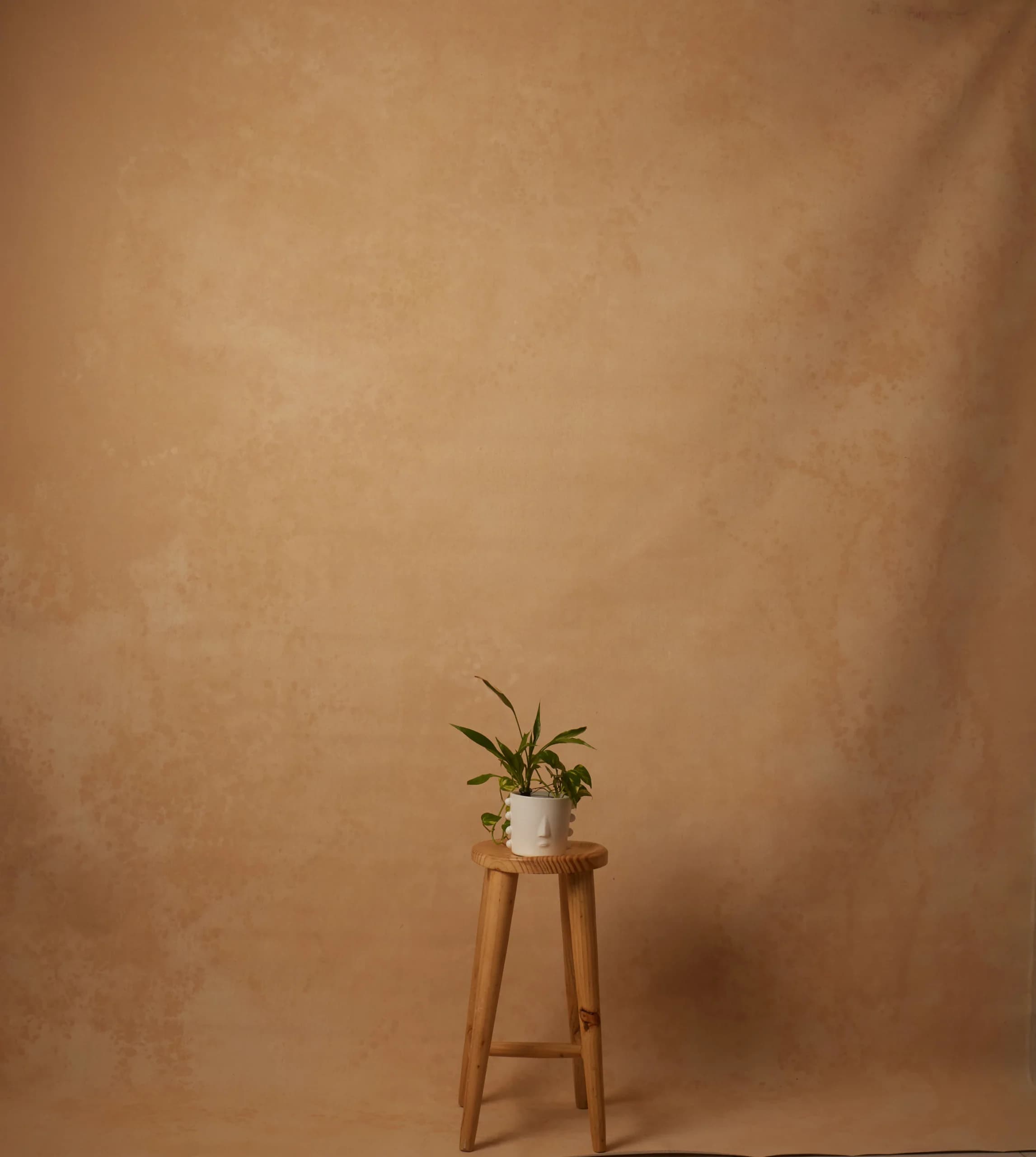 CB108R - Apricot Veil hand-painted canvas backdrop, view 1