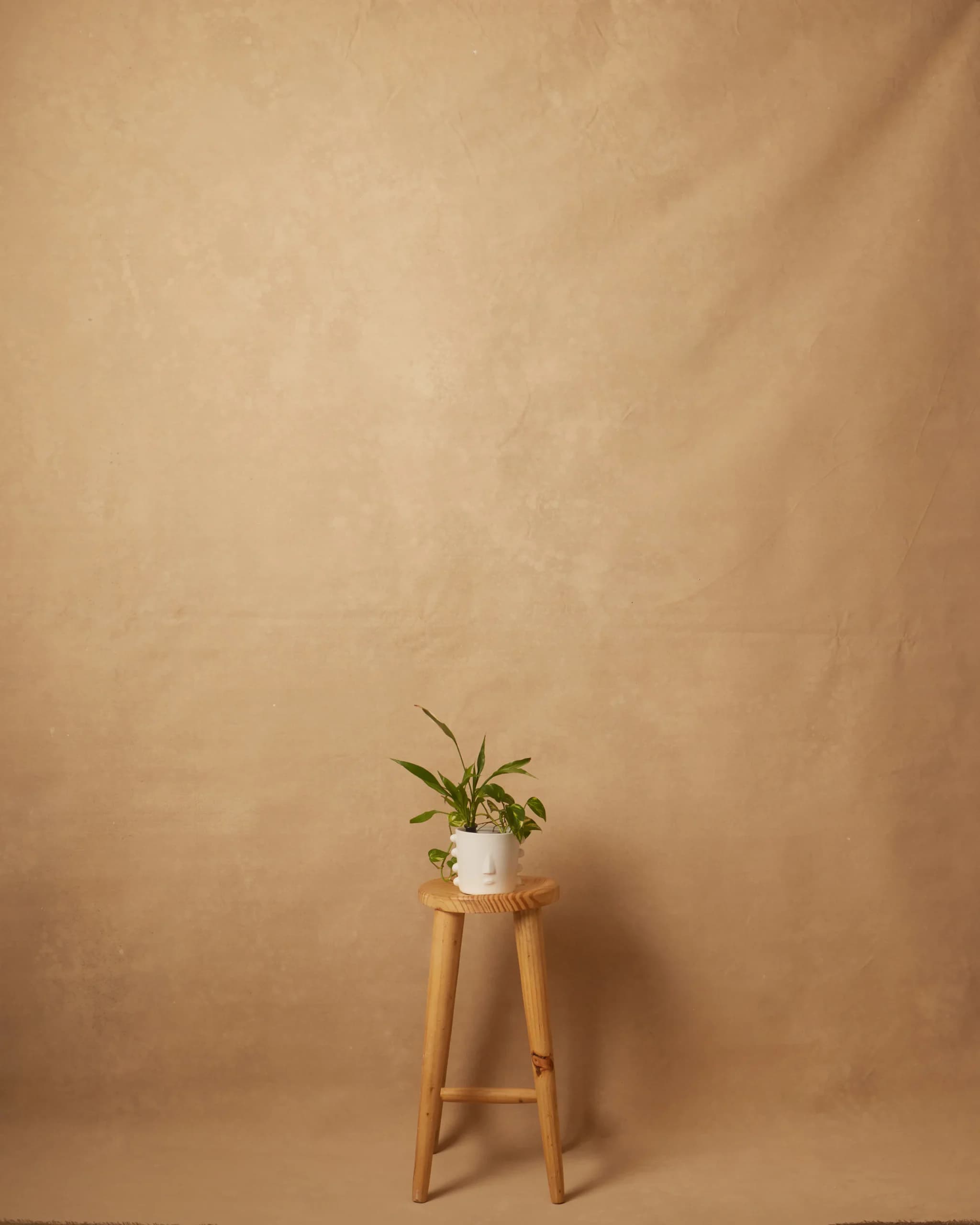 CB110R - Warm Ivory hand-painted canvas backdrop, view 1