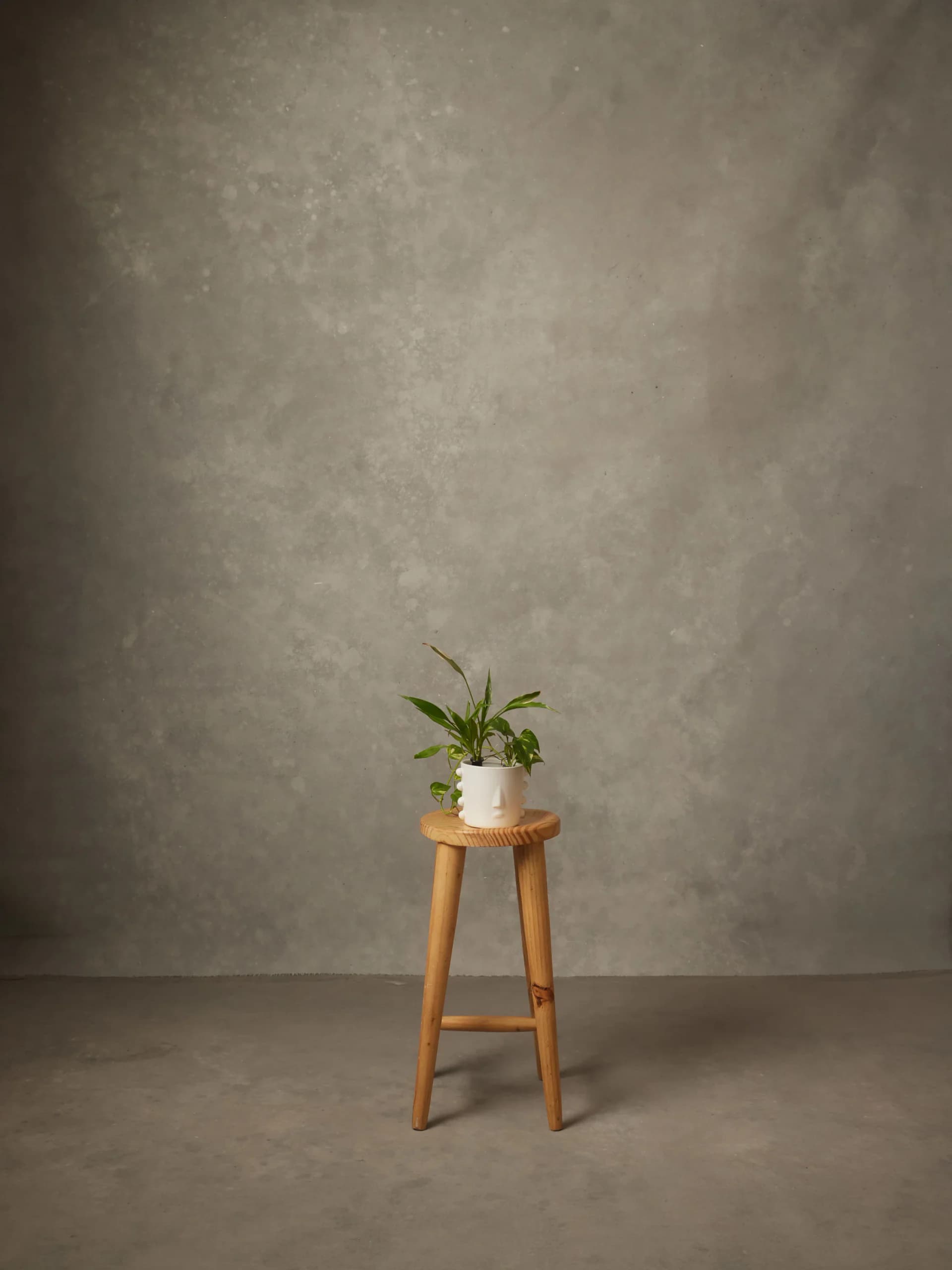CB114R - Sage Stone hand-painted canvas backdrop, view 1