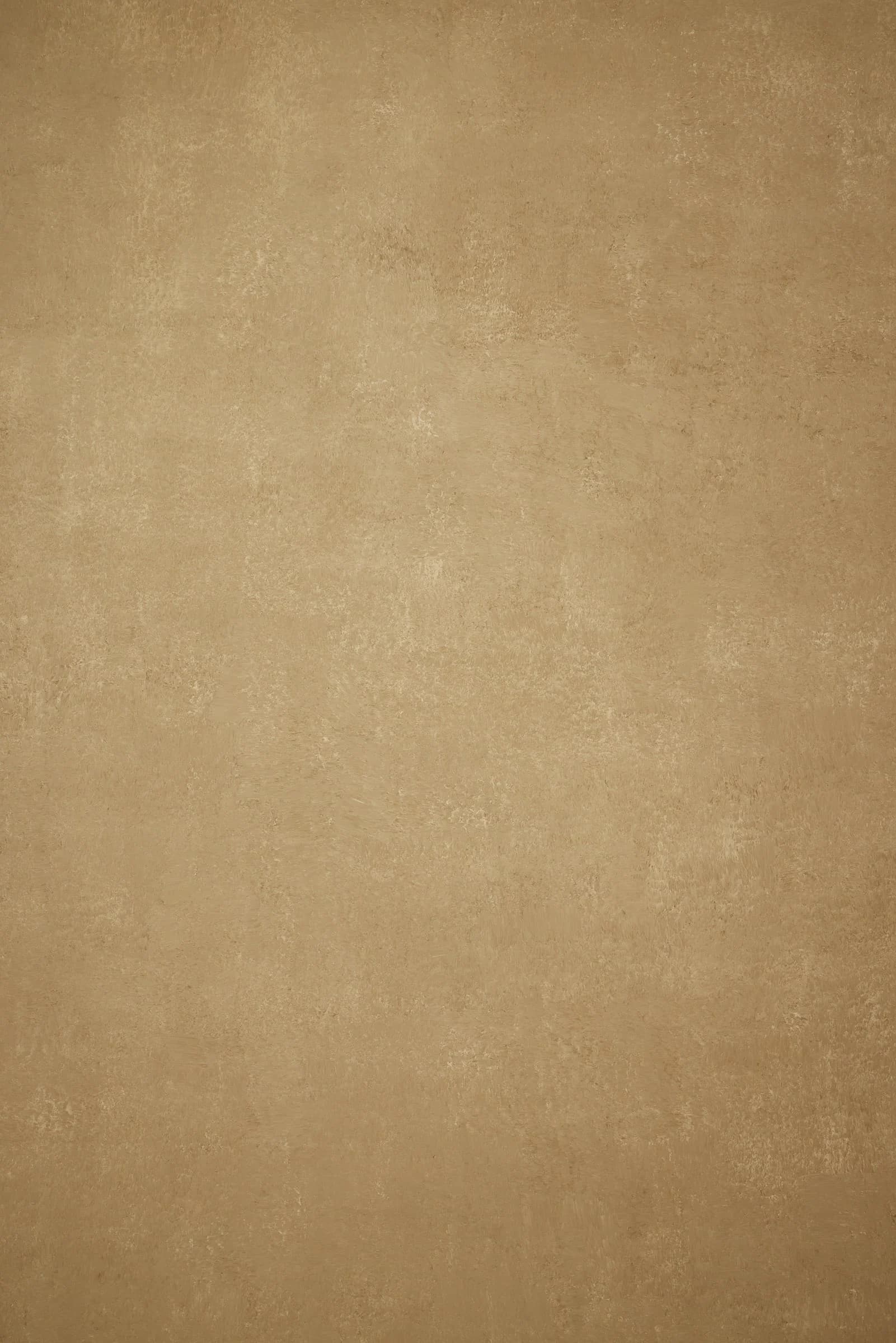 A006 - Dune Beige hand-painted canvas backdrop, view 3