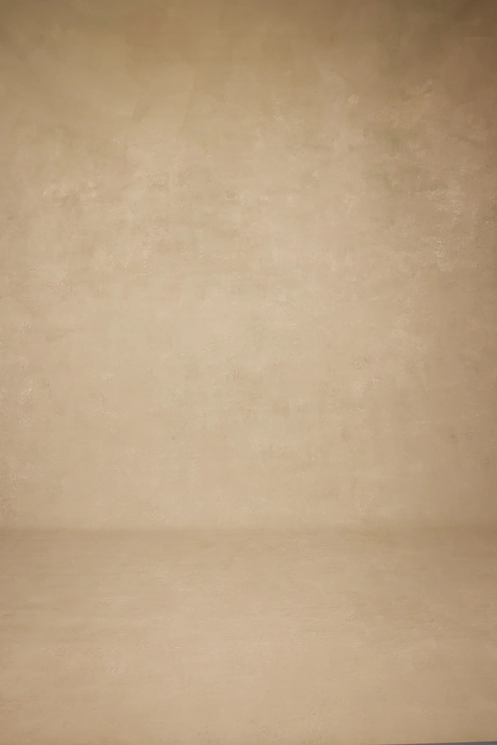 A013 - Latte Mist hand-painted canvas backdrop, view 2