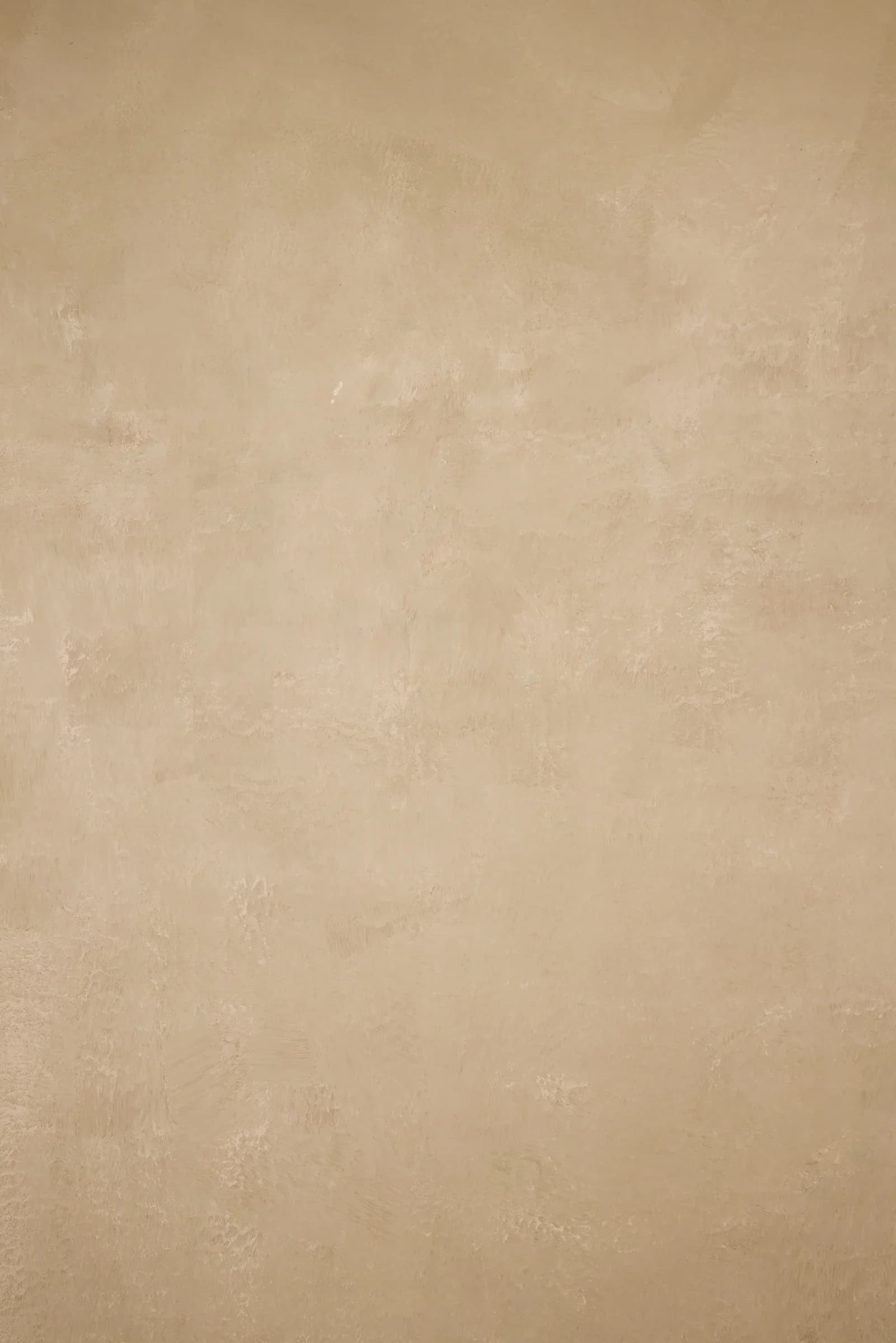 A013 - Latte Mist hand-painted canvas backdrop, view 3