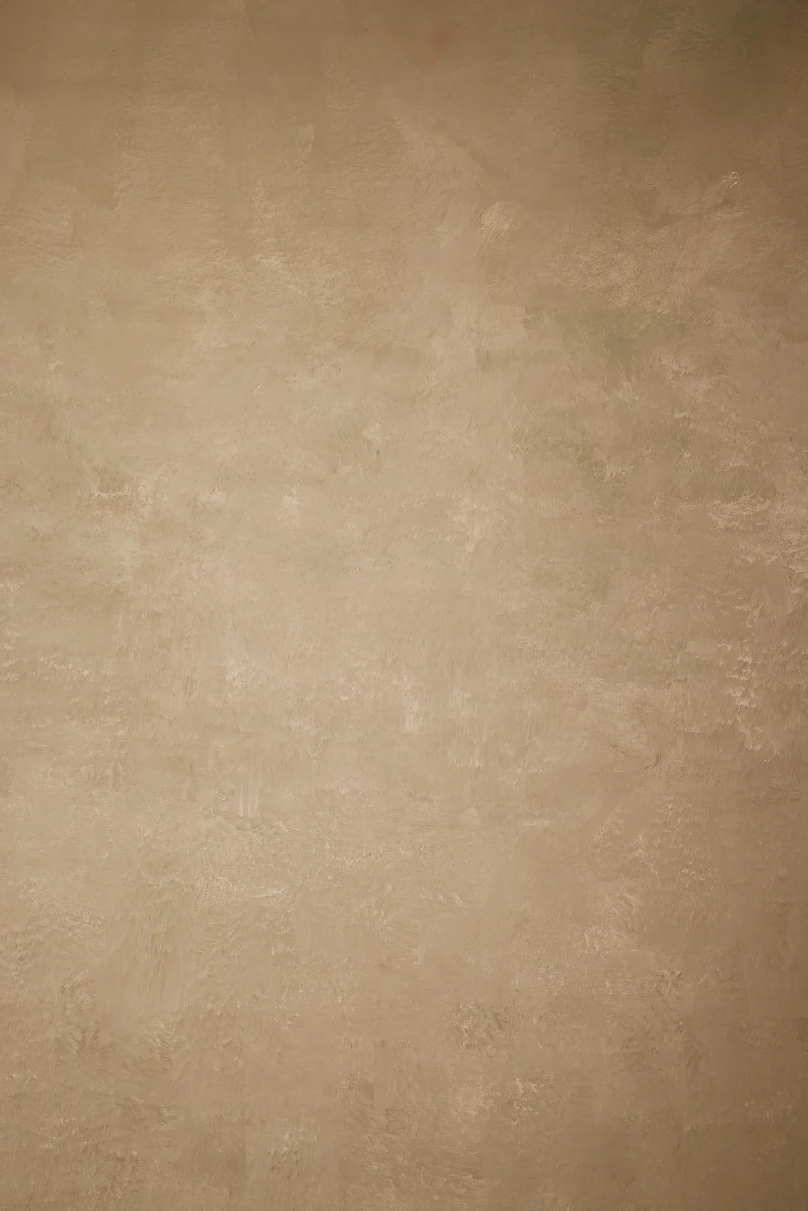 A013 - Latte Mist hand-painted canvas backdrop, view 4