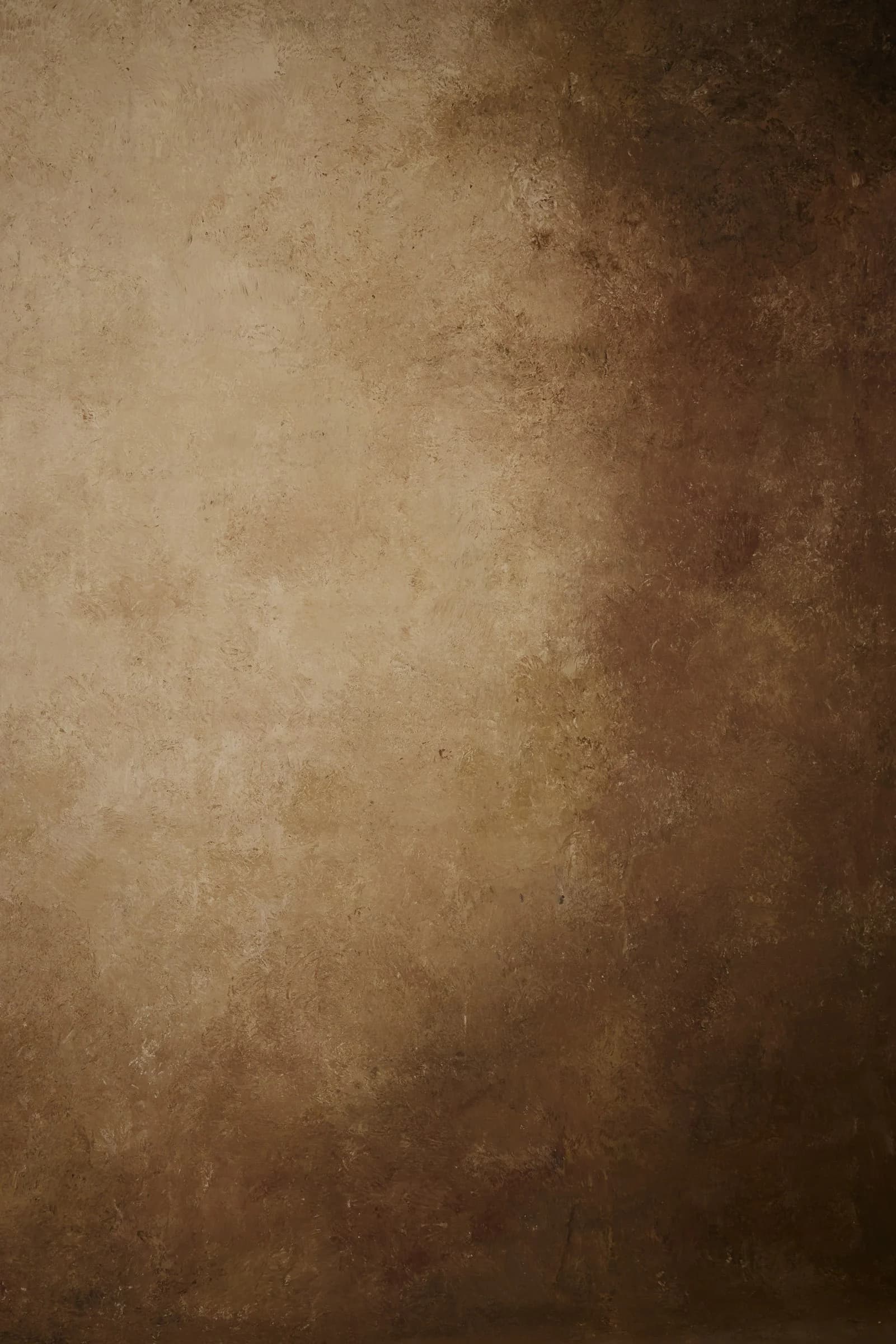 B005 - Bronze Horizon hand-painted canvas backdrop, view 4