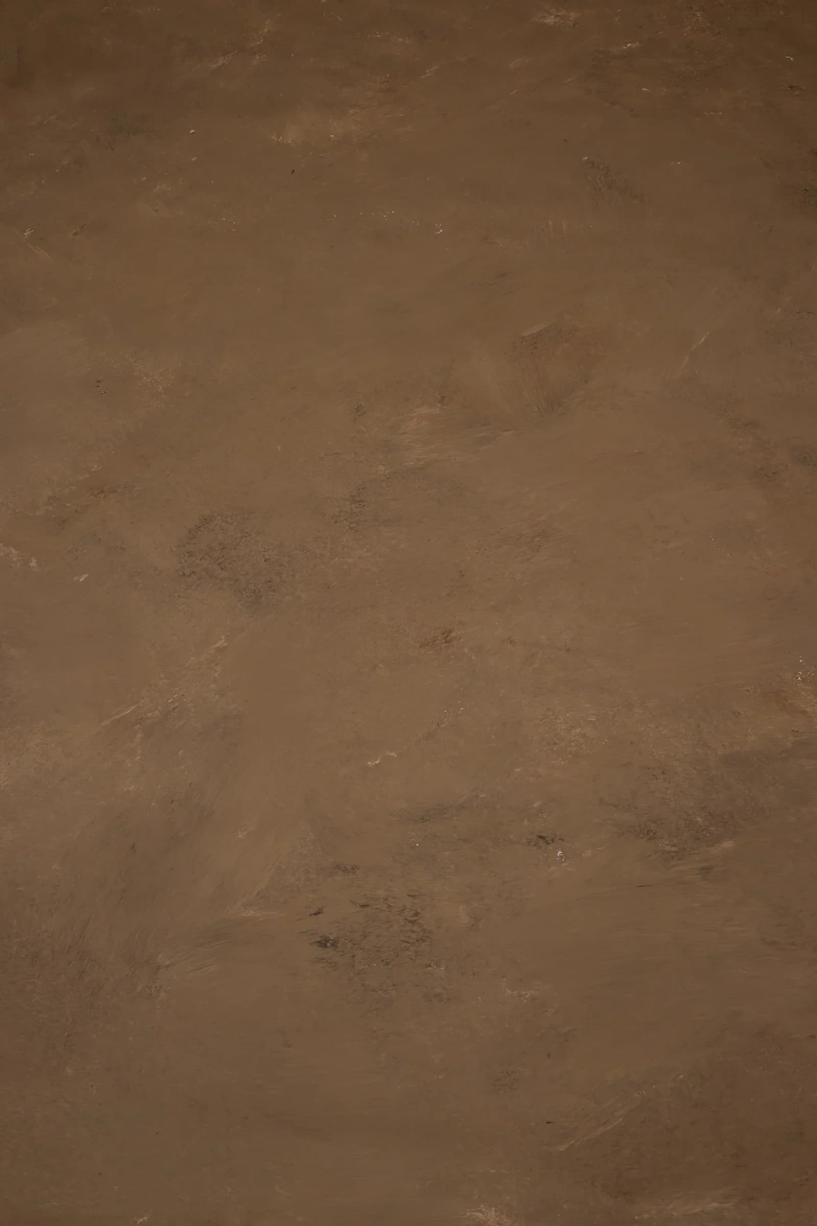 B005 - Bronze Horizon hand-painted canvas backdrop, view 5