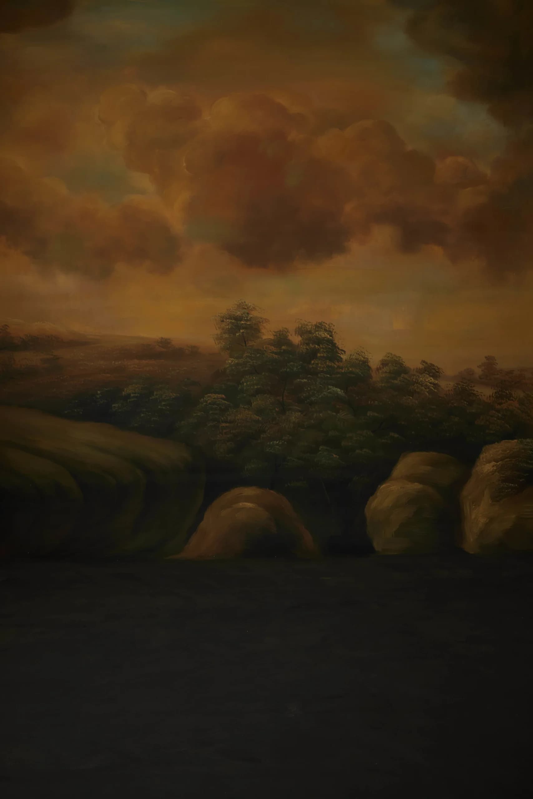 B007 - Ember Valley hand-painted canvas backdrop, view 2