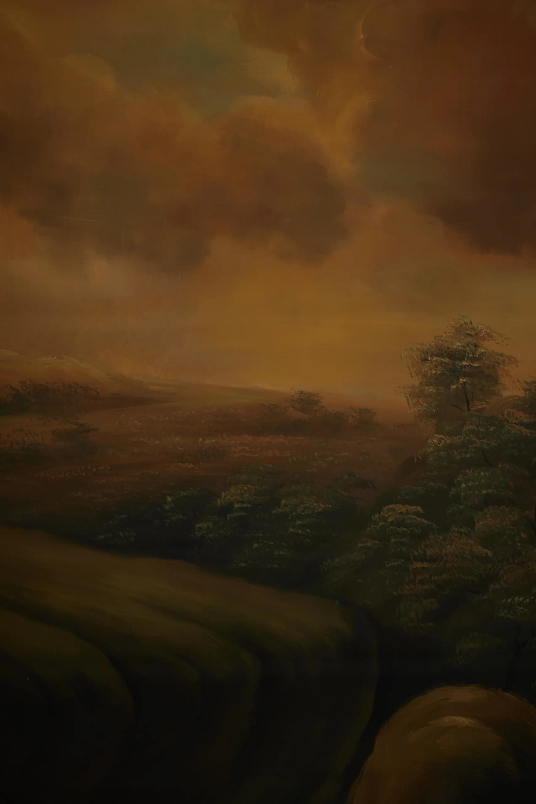 B007 - Ember Valley hand-painted canvas backdrop, view 4