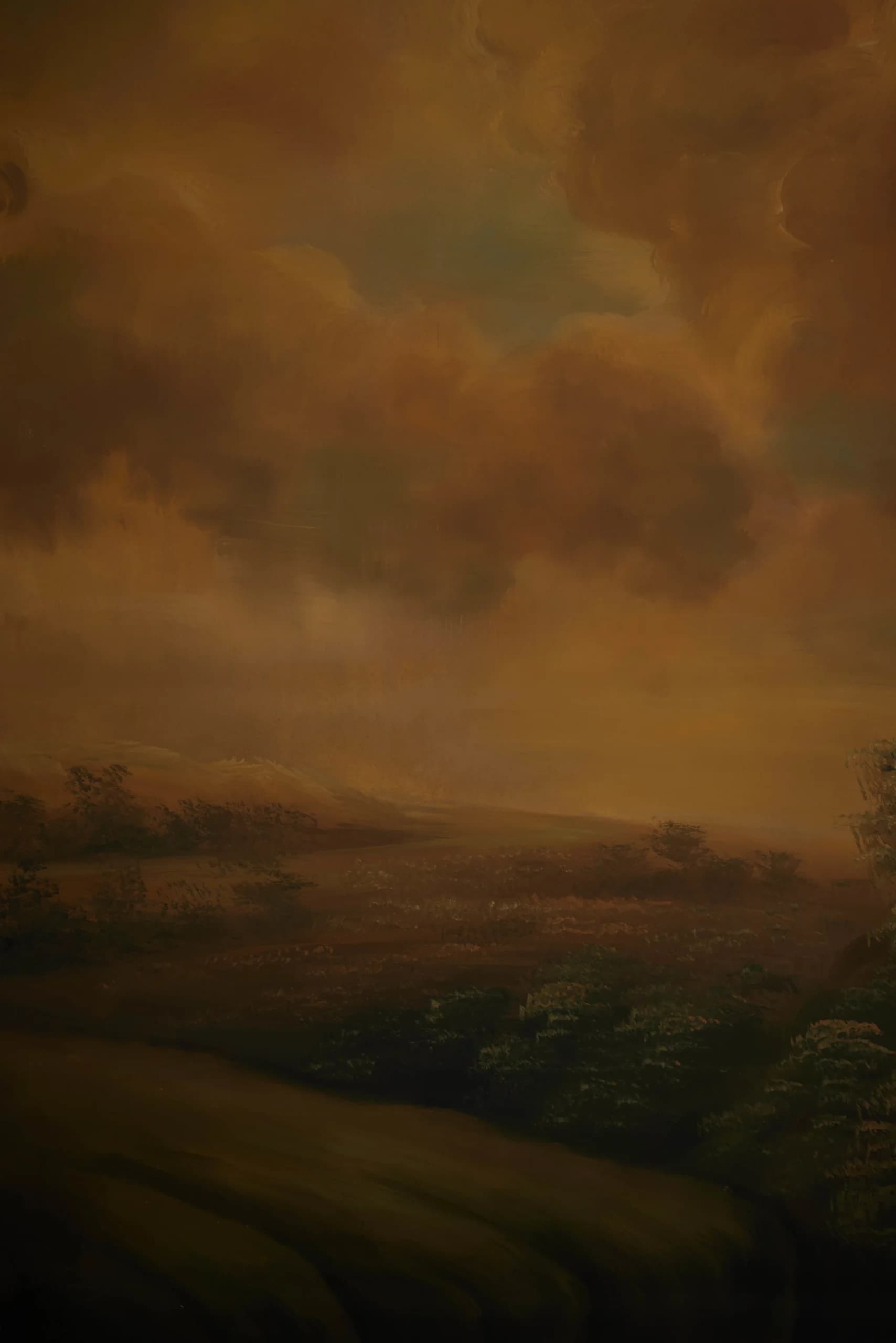 B007 - Ember Valley hand-painted canvas backdrop, view 5